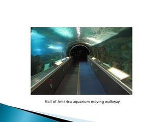 Mall of America aquarium moving walkway
 