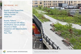 Biophilic Urban Interventions | PPT