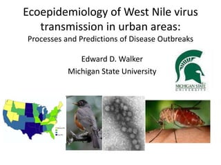 Ecoepidemiology of West Nile virus
transmission in urban areas:
Processes and Predictions of Disease Outbreaks
Edward D. Walker
Michigan State University

 