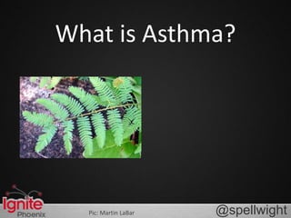 What is Asthma? @spellwight Pic: Martin LaBar 
