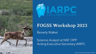 FOGSS Workshop 2023
Beverly Walker
Science Analyst at NSF OPP
Acting Executive Secretary IARPC
Photo: Alexis Bonogofsky/USFWS
 