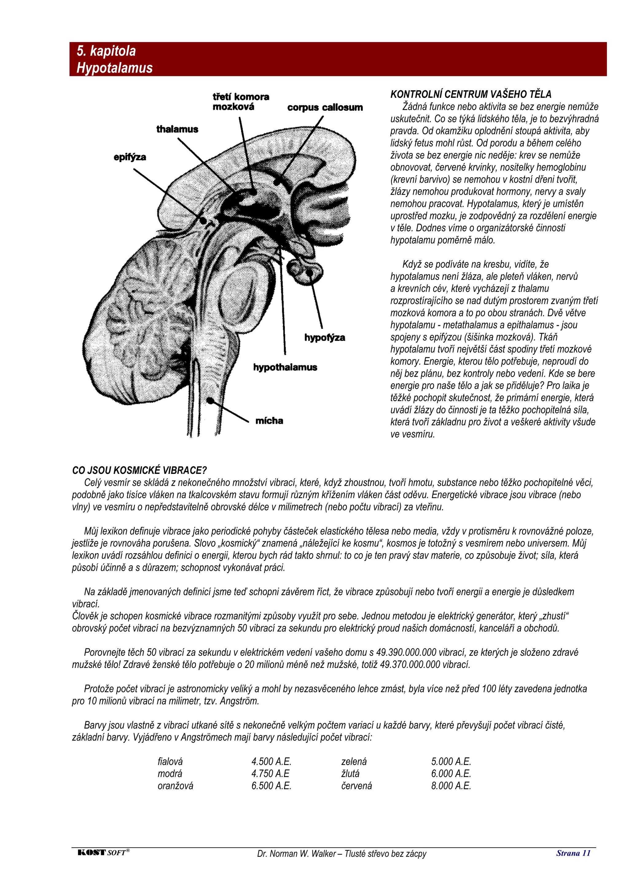 5. kapitola
 Hypotalamus
                                                                                    KONTROLNÍ CENTRUM VAŠEHO TĚLA
                                                                                        Žádná funkce nebo aktivita se bez energie nemůže
                                                                                    uskutečnit. Co se týká lidského těla, je to bezvýhradná
                                                                                    pravda. Od okamžiku oplodnění stoupá aktivita, aby
                                                                                    lidský fetus mohl růst. Od porodu a během celého
                                                                                    života se bez energie nic neděje: krev se nemůže
                                                                                    obnovovat, červené krvinky, nositelky hemoglobinu
                                                                                    (krevní barvivo) se nemohou v kostní dřeni tvořit,
                                                                                    žlázy nemohou produkovat hormony, nervy a svaly
                                                                                    nemohou pracovat. Hypotalamus, který je umístěn
                                                                                    uprostřed mozku, je zodpovědný za rozdělení energie
                                                                                    v těle. Dodnes víme o organizátorské činnosti
                                                                                    hypotalamu poměrně málo.

                                                                                       Když se podíváte na kresbu, vidíte, že
                                                                                    hypotalamus není žláza, ale pleteň vláken, nervů
                                                                                    a krevních cév, které vycházejí z thalamu
                                                                                    rozprostírajícího se nad dutým prostorem zvaným třetí
                                                                                    mozková komora a to po obou stranách. Dvě větve
                                                                                    hypotalamu - metathalamus a epithalamus - jsou
                                                                                    spojeny s epifýzou (šišinka mozková). Tkáň
                                                                                    hypotalamu tvoří největší část spodiny třetí mozkové
                                                                                    komory. Energie, kterou tělo potřebuje, neproudí do
                                                                                    něj bez plánu, bez kontroly nebo vedení. Kde se bere
                                                                                    energie pro naše tělo a jak se přiděluje? Pro laika je
                                                                                    těžké pochopit skutečnost, že primární energie, která
                                                                                    uvádí žlázy do činnosti je ta těžko pochopitelná síla,
                                                                                    která tvoří základnu pro život a veškeré aktivity všude
                                                                                    ve vesmíru.


CO JSOU KOSMICKÉ VIBRACE?
   Celý vesmír se skládá z nekonečného množství vibrací, které, když zhoustnou, tvoří hmotu, substance nebo těžko pochopitelné věci,
podobně jako tisíce vláken na tkalcovském stavu formují různým křížením vláken část oděvu. Energetické vibrace jsou vibrace (nebo
vlny) ve vesmíru o nepředstavitelně obrovské délce v milimetrech (nebo počtu vibrací) za vteřinu.

    Můj lexikon definuje vibrace jako periodické pohyby částeček elastického tělesa nebo media, vždy v protisměru k rovnovážné poloze,
jestliže je rovnováha porušena. Slovo „kosmický“ znamená „náležející ke kosmu“, kosmos je totožný s vesmírem nebo universem. Můj
lexikon uvádí rozsáhlou definici o energii, kterou bych rád takto shrnul: to co je ten pravý stav materie, co způsobuje život; síla, která
působí účinně a s důrazem; schopnost vykonávat práci.

   Na základě jmenovaných definicí jsme teď schopni závěrem říct, že vibrace způsobují nebo tvoří energii a energie je důsledkem
vibrací.
Člověk je schopen kosmické vibrace rozmanitými způsoby využít pro sebe. Jednou metodou je elektrický generátor, který „zhustí“
obrovský počet vibrací na bezvýznamných 50 vibrací za sekundu pro elektrický proud našich domácností, kanceláří a obchodů.

  Porovnejte těch 50 vibrací za sekundu v elektrickém vedení vašeho domu s 49.390.000.000 vibrací, ze kterých je složeno zdravé
mužské tělo! Zdravé ženské tělo potřebuje o 20 milionů méně než mužské, totiž 49.370.000.000 vibrací.

   Protože počet vibrací je astronomicky veliký a mohl by nezasvěceného lehce zmást, byla více než před 100 léty zavedena jednotka
pro 10 milionů vibrací na milimetr, tzv. Angström.

   Barvy jsou vlastně z vibrací utkané sítě s nekonečně velkým počtem variací u každé barvy, které převyšují počet vibrací čisté,
základní barvy. Vyjádřeno v Angströmech mají barvy následující počet vibrací:

                      fialová                  4.500 A.E.              zelená                    5.000 A.E.
                      modrá                    4.750 A.E               žlutá                     6.000 A.E.
                      oranžová                 6.500 A.E.              červená                   8.000 A.E.




 KOST SOFT ®                                    Dr. Norman W. Walker – Tlusté střevo bez zácpy                                  Strana 11
 