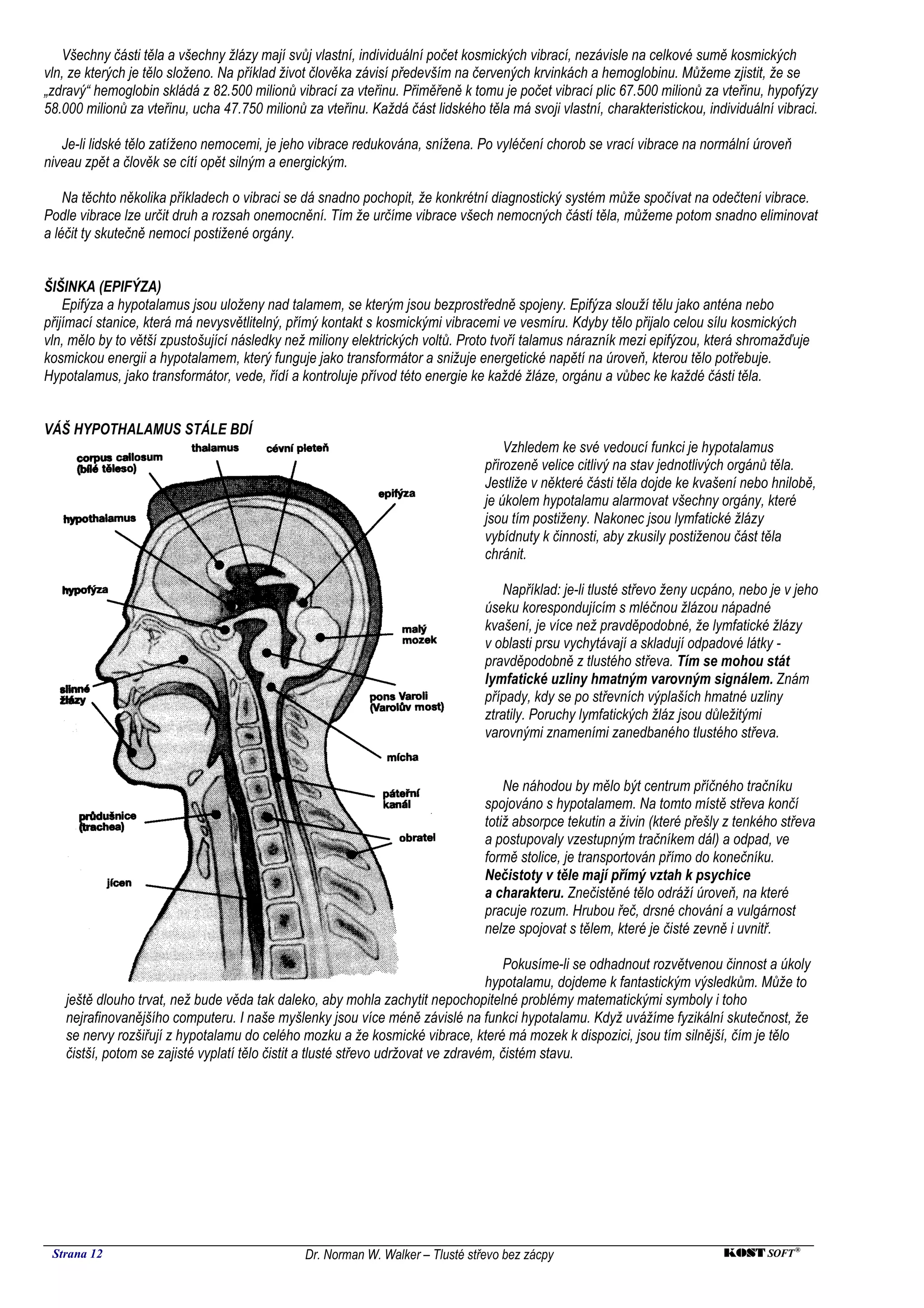 Všechny části těla a všechny žlázy mají svůj vlastní, individuální počet kosmických vibrací, nezávisle na celkové sumě kosmických
vln, ze kterých je tělo složeno. Na příklad život člověka závisí především na červených krvinkách a hemoglobinu. Můžeme zjistit, že se
„zdravý“ hemoglobin skládá z 82.500 milionů vibrací za vteřinu. Přiměřeně k tomu je počet vibrací plic 67.500 milionů za vteřinu, hypofýzy
58.000 milionů za vteřinu, ucha 47.750 milionů za vteřinu. Každá část lidského těla má svoji vlastní, charakteristickou, individuální vibraci.

   Je-li lidské tělo zatíženo nemocemi, je jeho vibrace redukována, snížena. Po vyléčení chorob se vrací vibrace na normální úroveň
niveau zpět a člověk se cítí opět silným a energickým.

    Na těchto několika příkladech o vibraci se dá snadno pochopit, že konkrétní diagnostický systém může spočívat na odečtení vibrace.
Podle vibrace lze určit druh a rozsah onemocnění. Tím že určíme vibrace všech nemocných částí těla, můžeme potom snadno eliminovat
a léčit ty skutečně nemocí postižené orgány.


ŠIŠINKA (EPIFÝZA)
    Epifýza a hypotalamus jsou uloženy nad talamem, se kterým jsou bezprostředně spojeny. Epifýza slouží tělu jako anténa nebo
přijímací stanice, která má nevysvětlitelný, přímý kontakt s kosmickými vibracemi ve vesmíru. Kdyby tělo přijalo celou sílu kosmických
vln, mělo by to větší zpustošující následky než miliony elektrických voltů. Proto tvoří talamus nárazník mezi epifýzou, která shromažďuje
kosmickou energii a hypotalamem, který funguje jako transformátor a snižuje energetické napětí na úroveň, kterou tělo potřebuje.
Hypotalamus, jako transformátor, vede, řídí a kontroluje přívod této energie ke každé žláze, orgánu a vůbec ke každé části těla.


VÁŠ HYPOTHALAMUS STÁLE BDÍ
                                                                                    Vzhledem ke své vedoucí funkci je hypotalamus
                                                                                přirozeně velice citlivý na stav jednotlivých orgánů těla.
                                                                                Jestliže v některé části těla dojde ke kvašení nebo hnilobě,
                                                                                je úkolem hypotalamu alarmovat všechny orgány, které
                                                                                jsou tím postiženy. Nakonec jsou lymfatické žlázy
                                                                                vybídnuty k činnosti, aby zkusily postiženou část těla
                                                                                chránit.

                                                                                    Například: je-li tlusté střevo ženy ucpáno, nebo je v jeho
                                                                                úseku korespondujícím s mléčnou žlázou nápadné
                                                                                kvašení, je více než pravděpodobné, že lymfatické žlázy
                                                                                v oblasti prsu vychytávají a skladují odpadové látky -
                                                                                pravděpodobně z tlustého střeva. Tím se mohou stát
                                                                                lymfatické uzliny hmatným varovným signálem. Znám
                                                                                případy, kdy se po střevních výplaších hmatné uzliny
                                                                                ztratily. Poruchy lymfatických žláz jsou důležitými
                                                                                varovnými znameními zanedbaného tlustého střeva.


                                                                                    Ne náhodou by mělo být centrum příčného tračníku
                                                                                spojováno s hypotalamem. Na tomto místě střeva končí
                                                                                totiž absorpce tekutin a živin (které přešly z tenkého střeva
                                                                                a postupovaly vzestupným tračníkem dál) a odpad, ve
                                                                                formě stolice, je transportován přímo do konečníku.
                                                                                Nečistoty v těle mají přímý vztah k psychice
                                                                                a charakteru. Znečistěné tělo odráží úroveň, na které
                                                                                pracuje rozum. Hrubou řeč, drsné chování a vulgárnost
                                                                                nelze spojovat s tělem, které je čisté zevně i uvnitř.

                                                                                       Pokusíme-li se odhadnout rozvětvenou činnost a úkoly
                                                                                   hypotalamu, dojdeme k fantastickým výsledkům. Může to
    ještě dlouho trvat, než bude věda tak daleko, aby mohla zachytit nepochopitelné problémy matematickými symboly i toho
    nejrafinovanějšího computeru. I naše myšlenky jsou více méně závislé na funkci hypotalamu. Když uvážíme fyzikální skutečnost, že
    se nervy rozšiřují z hypotalamu do celého mozku a že kosmické vibrace, které má mozek k dispozici, jsou tím silnější, čím je tělo
    čistší, potom se zajisté vyplatí tělo čistit a tlusté střevo udržovat ve zdravém, čistém stavu.




 Strana 12                                     Dr. Norman W. Walker – Tlusté střevo bez zácpy                               KOST SOFT ®
 