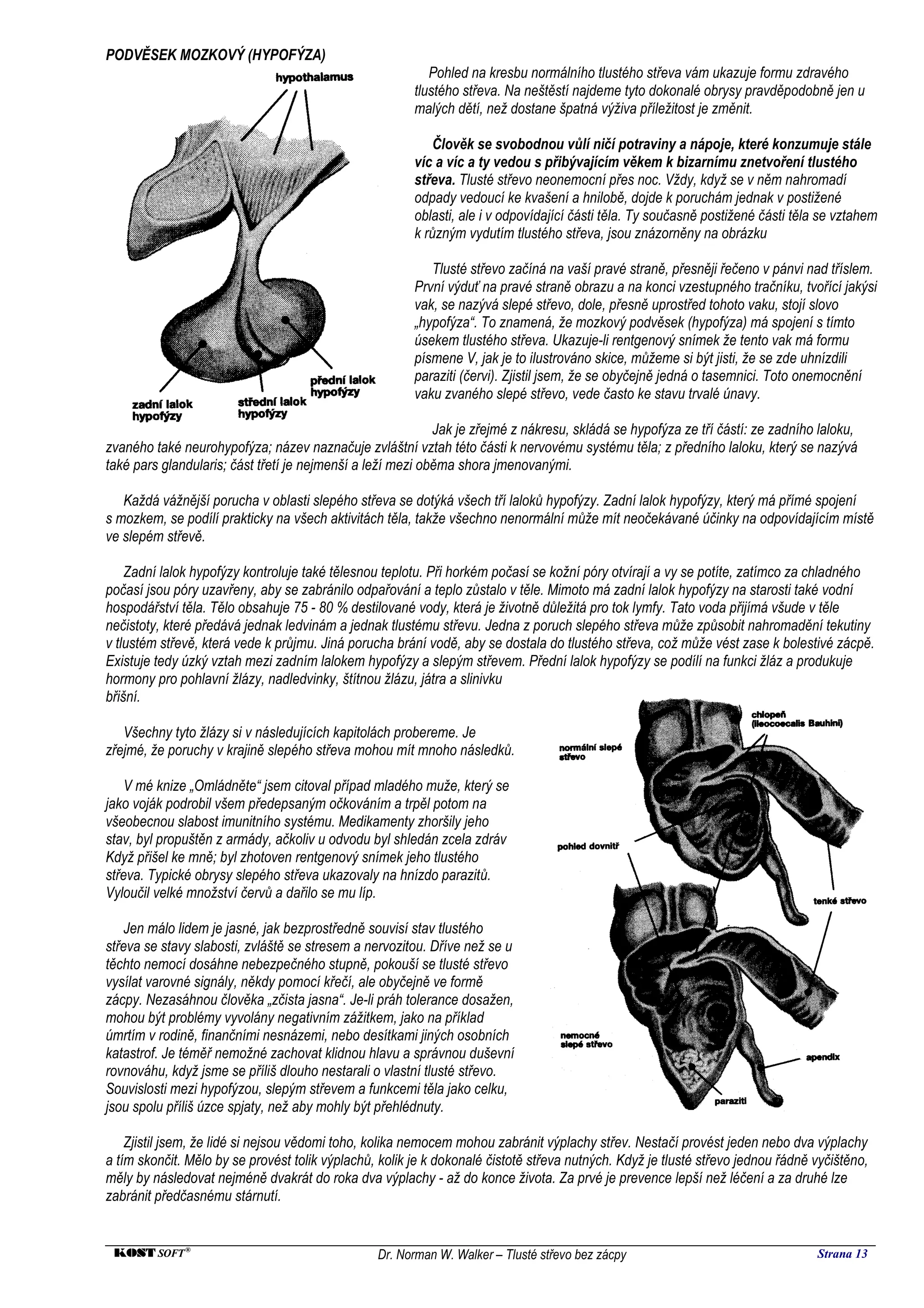 PODVĚSEK MOZKOVÝ (HYPOFÝZA)
                                                           Pohled na kresbu normálního tlustého střeva vám ukazuje formu zdravého
                                                        tlustého střeva. Na neštěstí najdeme tyto dokonalé obrysy pravděpodobně jen u
                                                        malých dětí, než dostane špatná výživa příležitost je změnit.

                                                            Člověk se svobodnou vůlí ničí potraviny a nápoje, které konzumuje stále
                                                        víc a víc a ty vedou s přibývajícím věkem k bizarnímu znetvoření tlustého
                                                        střeva. Tlusté střevo neonemocní přes noc. Vždy, když se v něm nahromadí
                                                        odpady vedoucí ke kvašení a hnilobě, dojde k poruchám jednak v postižené
                                                        oblasti, ale i v odpovídající části těla. Ty současně postižené části těla se vztahem
                                                        k různým vydutím tlustého střeva, jsou znázorněny na obrázku

                                                           Tlusté střevo začíná na vaší pravé straně, přesněji řečeno v pánvi nad tříslem.
                                                        První výduť na pravé straně obrazu a na konci vzestupného tračníku, tvořící jakýsi
                                                        vak, se nazývá slepé střevo, dole, přesně uprostřed tohoto vaku, stojí slovo
                                                        „hypofýza“. To znamená, že mozkový podvěsek (hypofýza) má spojení s tímto
                                                        úsekem tlustého střeva. Ukazuje-li rentgenový snímek že tento vak má formu
                                                        písmene V, jak je to ilustrováno skice, můžeme si být jisti, že se zde uhnízdili
                                                        paraziti (červi). Zjistil jsem, že se obyčejně jedná o tasemnici. Toto onemocnění
                                                        vaku zvaného slepé střevo, vede často ke stavu trvalé únavy.

                                                            Jak je zřejmé z nákresu, skládá se hypofýza ze tří částí: ze zadního laloku,
zvaného také neurohypofýza; název naznačuje zvláštní vztah této části k nervovému systému těla; z předního laloku, který se nazývá
také pars glandularis; část třetí je nejmenší a leží mezi oběma shora jmenovanými.

   Každá vážnější porucha v oblasti slepého střeva se dotýká všech tří laloků hypofýzy. Zadní lalok hypofýzy, který má přímé spojení
s mozkem, se podílí prakticky na všech aktivitách těla, takže všechno nenormální může mít neočekávané účinky na odpovídajícím místě
ve slepém střevě.

    Zadní lalok hypofýzy kontroluje také tělesnou teplotu. Při horkém počasí se kožní póry otvírají a vy se potíte, zatímco za chladného
počasí jsou póry uzavřeny, aby se zabránilo odpařování a teplo zůstalo v těle. Mimoto má zadní lalok hypofýzy na starosti také vodní
hospodářství těla. Tělo obsahuje 75 - 80 % destilované vody, která je životně důležitá pro tok lymfy. Tato voda přijímá všude v těle
nečistoty, které předává jednak ledvinám a jednak tlustému střevu. Jedna z poruch slepého střeva může způsobit nahromadění tekutiny
v tlustém střevě, která vede k průjmu. Jiná porucha brání vodě, aby se dostala do tlustého střeva, což může vést zase k bolestivé zácpě.
Existuje tedy úzký vztah mezi zadním lalokem hypofýzy a slepým střevem. Přední lalok hypofýzy se podílí na funkci žláz a produkuje
hormony pro pohlavní žlázy, nadledvinky, štítnou žlázu, játra a slinivku
břišní.

   Všechny tyto žlázy si v následujících kapitolách probereme. Je
zřejmé, že poruchy v krajině slepého střeva mohou mít mnoho následků.

    V mé knize „Omládněte“ jsem citoval případ mladého muže, který se
jako voják podrobil všem předepsaným očkováním a trpěl potom na
všeobecnou slabost imunitního systému. Medikamenty zhoršily jeho
stav, byl propuštěn z armády, ačkoliv u odvodu byl shledán zcela zdráv
Když přišel ke mně; byl zhotoven rentgenový snímek jeho tlustého
střeva. Typické obrysy slepého střeva ukazovaly na hnízdo parazitů.
Vyloučil velké množství červů a dařilo se mu líp.

    Jen málo lidem je jasné, jak bezprostředně souvisí stav tlustého
střeva se stavy slabosti, zvláště se stresem a nervozitou. Dříve než se u
těchto nemocí dosáhne nebezpečného stupně, pokouší se tlusté střevo
vysílat varovné signály, někdy pomocí křečí, ale obyčejně ve formě
zácpy. Nezasáhnou člověka „zčista jasna“. Je-li práh tolerance dosažen,
mohou být problémy vyvolány negativním zážitkem, jako na příklad
úmrtím v rodině, finančními nesnázemi, nebo desítkami jiných osobních
katastrof. Je téměř nemožné zachovat klidnou hlavu a správnou duševní
rovnováhu, když jsme se příliš dlouho nestarali o vlastní tlusté střevo.
Souvislosti mezi hypofýzou, slepým střevem a funkcemi těla jako celku,
jsou spolu příliš úzce spjaty, než aby mohly být přehlédnuty.

    Zjistil jsem, že lidé si nejsou vědomi toho, kolika nemocem mohou zabránit výplachy střev. Nestačí provést jeden nebo dva výplachy
a tím skončit. Mělo by se provést tolik výplachů, kolik je k dokonalé čistotě střeva nutných. Když je tlusté střevo jednou řádně vyčištěno,
měly by následovat nejméně dvakrát do roka dva výplachy - až do konce života. Za prvé je prevence lepší než léčení a za druhé lze
zabránit předčasnému stárnutí.


 KOST SOFT ®                                     Dr. Norman W. Walker – Tlusté střevo bez zácpy                                   Strana 13
 