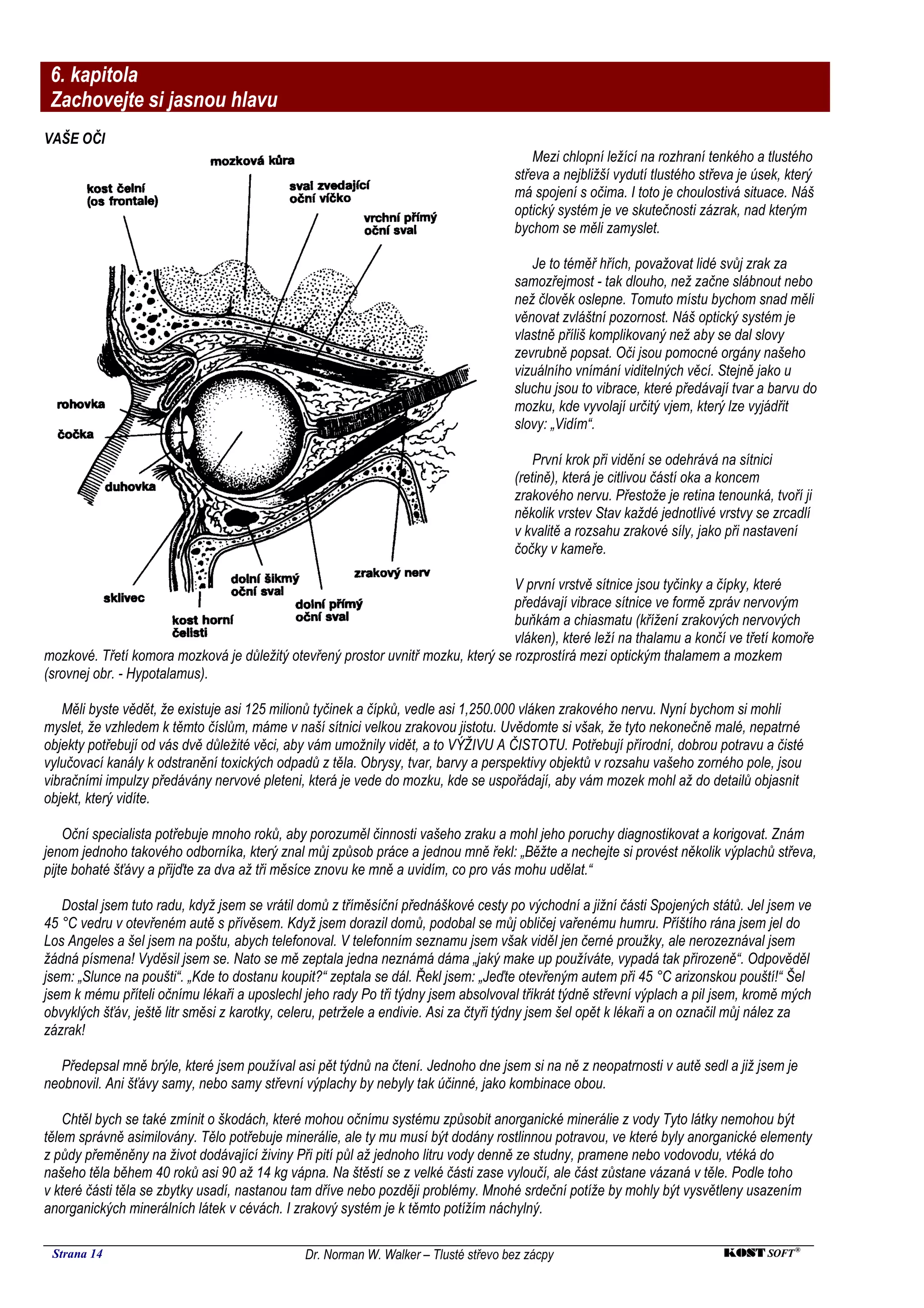 6. kapitola
 Zachovejte si jasnou hlavu
VAŠE OČI
                                                                                         Mezi chlopní ležící na rozhraní tenkého a tlustého
                                                                                     střeva a nejbližší vydutí tlustého střeva je úsek, který
                                                                                     má spojení s očima. I toto je choulostivá situace. Náš
                                                                                     optický systém je ve skutečnosti zázrak, nad kterým
                                                                                     bychom se měli zamyslet.

                                                                                        Je to téměř hřích, považovat lidé svůj zrak za
                                                                                     samozřejmost - tak dlouho, než začne slábnout nebo
                                                                                     než člověk oslepne. Tomuto místu bychom snad měli
                                                                                     věnovat zvláštní pozornost. Náš optický systém je
                                                                                     vlastně příliš komplikovaný než aby se dal slovy
                                                                                     zevrubně popsat. Oči jsou pomocné orgány našeho
                                                                                     vizuálního vnímání viditelných věcí. Stejně jako u
                                                                                     sluchu jsou to vibrace, které předávají tvar a barvu do
                                                                                     mozku, kde vyvolají určitý vjem, který lze vyjádřit
                                                                                     slovy: „Vidím“.

                                                                                         První krok při vidění se odehrává na sítnici
                                                                                     (retině), která je citlivou částí oka a koncem
                                                                                     zrakového nervu. Přestože je retina tenounká, tvoří ji
                                                                                     několik vrstev Stav každé jednotlivé vrstvy se zrcadlí
                                                                                     v kvalitě a rozsahu zrakové síly, jako při nastavení
                                                                                     čočky v kameře.

                                                                                  V první vrstvě sítnice jsou tyčinky a čípky, které
                                                                                  předávají vibrace sítnice ve formě zpráv nervovým
                                                                                  buňkám a chiasmatu (křížení zrakových nervových
                                                                                  vláken), které leží na thalamu a končí ve třetí komoře
mozkové. Třetí komora mozková je důležitý otevřený prostor uvnitř mozku, který se rozprostírá mezi optickým thalamem a mozkem
(srovnej obr. - Hypotalamus).

   Měli byste vědět, že existuje asi 125 milionů tyčinek a čípků, vedle asi 1,250.000 vláken zrakového nervu. Nyní bychom si mohli
myslet, že vzhledem k těmto číslům, máme v naší sítnici velkou zrakovou jistotu. Uvědomte si však, že tyto nekonečně malé, nepatrné
objekty potřebují od vás dvě důležité věci, aby vám umožnily vidět, a to VÝŽIVU A ČISTOTU. Potřebují přírodní, dobrou potravu a čisté
vylučovací kanály k odstranění toxických odpadů z těla. Obrysy, tvar, barvy a perspektivy objektů v rozsahu vašeho zorného pole, jsou
vibračními impulzy předávány nervové pleteni, která je vede do mozku, kde se uspořádají, aby vám mozek mohl až do detailů objasnit
objekt, který vidíte.

    Oční specialista potřebuje mnoho roků, aby porozuměl činnosti vašeho zraku a mohl jeho poruchy diagnostikovat a korigovat. Znám
jenom jednoho takového odborníka, který znal můj způsob práce a jednou mně řekl: „Běžte a nechejte si provést několik výplachů střeva,
pijte bohaté šťávy a přijďte za dva až tři měsíce znovu ke mně a uvidím, co pro vás mohu udělat.“

   Dostal jsem tuto radu, když jsem se vrátil domů z tříměsíční přednáškové cesty po východní a jižní části Spojených států. Jel jsem ve
45 °C vedru v otevřeném autě s přívěsem. Když jsem dorazil domů, podobal se můj obličej vařenému humru. Příštího rána jsem jel do
Los Angeles a šel jsem na poštu, abych telefonoval. V telefonním seznamu jsem však viděl jen černé proužky, ale nerozeznával jsem
žádná písmena! Vyděsil jsem se. Nato se mě zeptala jedna neznámá dáma „jaký make up používáte, vypadá tak přirozeně“. Odpověděl
jsem: „Slunce na poušti“. „Kde to dostanu koupit?“ zeptala se dál. Řekl jsem: „Jeďte otevřeným autem při 45 °C arizonskou pouští!“ Šel
jsem k mému příteli očnímu lékaři a uposlechl jeho rady Po tři týdny jsem absolvoval třikrát týdně střevní výplach a pil jsem, kromě mých
obvyklých šťáv, ještě litr směsi z karotky, celeru, petržele a endivie. Asi za čtyři týdny jsem šel opět k lékaři a on označil můj nález za
zázrak!

   Předepsal mně brýle, které jsem používal asi pět týdnů na čtení. Jednoho dne jsem si na ně z neopatrnosti v autě sedl a již jsem je
neobnovil. Ani šťávy samy, nebo samy střevní výplachy by nebyly tak účinné, jako kombinace obou.

    Chtěl bych se také zmínit o škodách, které mohou očnímu systému způsobit anorganické minerálie z vody Tyto látky nemohou být
tělem správně asimilovány. Tělo potřebuje minerálie, ale ty mu musí být dodány rostlinnou potravou, ve které byly anorganické elementy
z půdy přeměněny na život dodávající živiny Při pití půl až jednoho litru vody denně ze studny, pramene nebo vodovodu, vtéká do
našeho těla během 40 roků asi 90 až 14 kg vápna. Na štěstí se z velké části zase vyloučí, ale část zůstane vázaná v těle. Podle toho
v které části těla se zbytky usadí, nastanou tam dříve nebo později problémy. Mnohé srdeční potíže by mohly být vysvětleny usazením
anorganických minerálních látek v cévách. I zrakový systém je k těmto potížím náchylný.

 Strana 14                                     Dr. Norman W. Walker – Tlusté střevo bez zácpy                               KOST SOFT ®
 