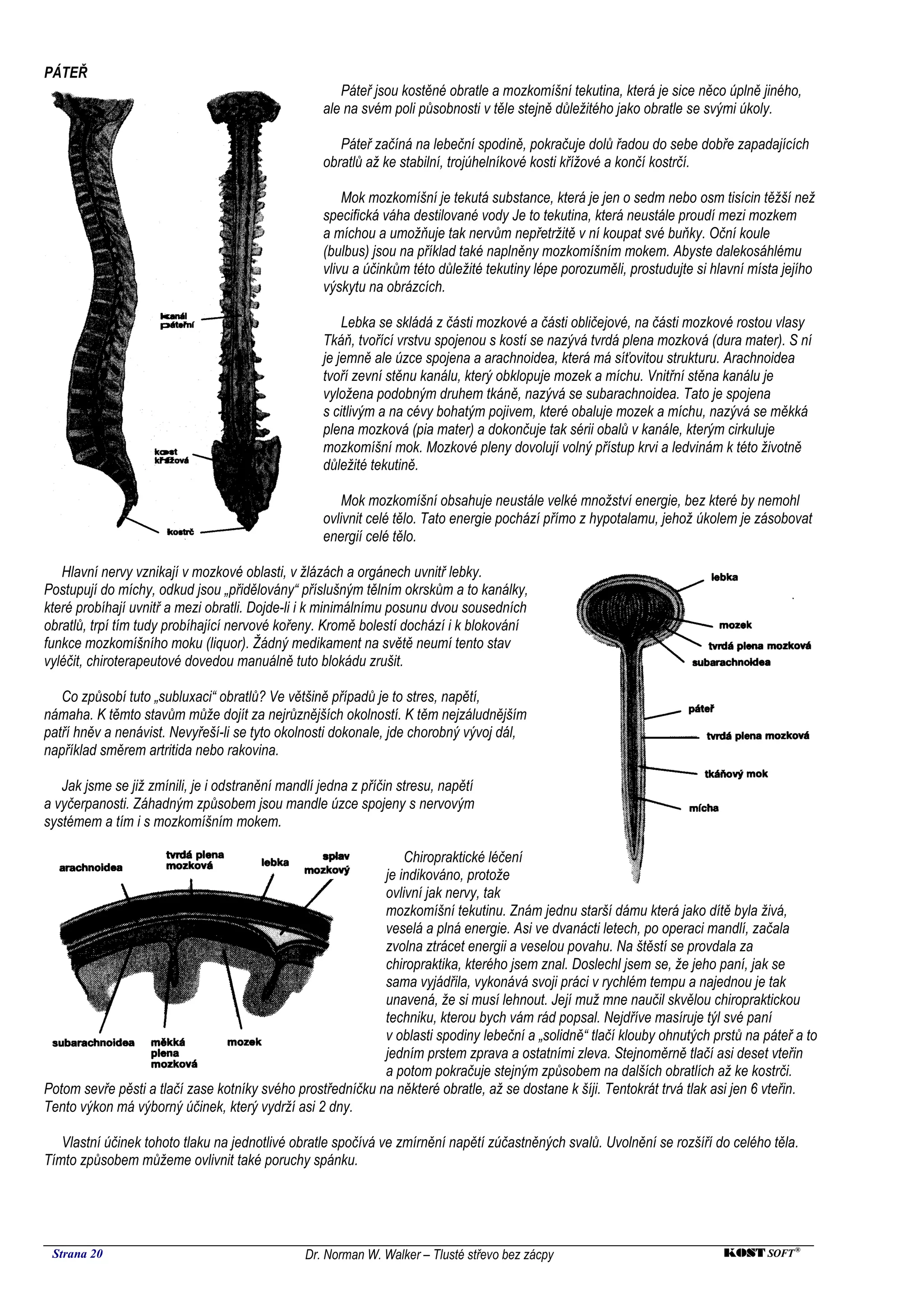 PÁTEŘ
                                                      Páteř jsou kostěné obratle a mozkomíšní tekutina, která je sice něco úplně jiného,
                                                   ale na svém poli působnosti v těle stejně důležitého jako obratle se svými úkoly.

                                                      Páteř začíná na lebeční spodině, pokračuje dolů řadou do sebe dobře zapadajících
                                                   obratlů až ke stabilní, trojúhelníkové kosti křížové a končí kostrčí.

                                                       Mok mozkomíšní je tekutá substance, která je jen o sedm nebo osm tisícin těžší než
                                                   specifická váha destilované vody Je to tekutina, která neustále proudí mezi mozkem
                                                   a míchou a umožňuje tak nervům nepřetržitě v ní koupat své buňky. Oční koule
                                                   (bulbus) jsou na příklad také naplněny mozkomíšním mokem. Abyste dalekosáhlému
                                                   vlivu a účinkům této důležité tekutiny lépe porozuměli, prostudujte si hlavní místa jejího
                                                   výskytu na obrázcích.

                                                       Lebka se skládá z části mozkové a části obličejové, na části mozkové rostou vlasy
                                                   Tkáň, tvořící vrstvu spojenou s kostí se nazývá tvrdá plena mozková (dura mater). S ní
                                                   je jemně ale úzce spojena a arachnoidea, která má síťovitou strukturu. Arachnoidea
                                                   tvoří zevní stěnu kanálu, který obklopuje mozek a míchu. Vnitřní stěna kanálu je
                                                   vyložena podobným druhem tkáně, nazývá se subarachnoidea. Tato je spojena
                                                   s citlivým a na cévy bohatým pojivem, které obaluje mozek a míchu, nazývá se měkká
                                                   plena mozková (pia mater) a dokončuje tak sérii obalů v kanále, kterým cirkuluje
                                                   mozkomíšní mok. Mozkové pleny dovolují volný přístup krvi a ledvinám k této životně
                                                   důležité tekutině.

                                                       Mok mozkomíšní obsahuje neustále velké množství energie, bez které by nemohl
                                                   ovlivnit celé tělo. Tato energie pochází přímo z hypotalamu, jehož úkolem je zásobovat
                                                   energií celé tělo.

   Hlavní nervy vznikají v mozkové oblasti, v žlázách a orgánech uvnitř lebky.
Postupují do míchy, odkud jsou „přidělovány“ příslušným tělním okrskům a to kanálky,
které probíhají uvnitř a mezi obratli. Dojde-li i k minimálnímu posunu dvou sousedních
obratlů, trpí tím tudy probíhající nervové kořeny. Kromě bolestí dochází i k blokování
funkce mozkomíšního moku (liquor). Žádný medikament na světě neumí tento stav
vyléčit, chiroterapeutové dovedou manuálně tuto blokádu zrušit.

   Co způsobí tuto „subluxaci“ obratlů? Ve většině případů je to stres, napětí,
námaha. K těmto stavům může dojít za nejrůznějších okolností. K těm nejzáludnějším
patří hněv a nenávist. Nevyřeší-li se tyto okolnosti dokonale, jde chorobný vývoj dál,
například směrem artritida nebo rakovina.

   Jak jsme se již zmínili, je i odstranění mandlí jedna z příčin stresu, napětí
a vyčerpanosti. Záhadným způsobem jsou mandle úzce spojeny s nervovým
systémem a tím i s mozkomíšním mokem.

                                                                Chiropraktické léčení
                                                            je indikováno, protože
                                                            ovlivní jak nervy, tak
                                                            mozkomíšní tekutinu. Znám jednu starší dámu která jako dítě byla živá,
                                                            veselá a plná energie. Asi ve dvanácti letech, po operaci mandlí, začala
                                                            zvolna ztrácet energii a veselou povahu. Na štěstí se provdala za
                                                            chiropraktika, kterého jsem znal. Doslechl jsem se, že jeho paní, jak se
                                                            sama vyjádřila, vykonává svoji práci v rychlém tempu a najednou je tak
                                                            unavená, že si musí lehnout. Její muž mne naučil skvělou chiropraktickou
                                                            techniku, kterou bych vám rád popsal. Nejdříve masíruje týl své paní
                                                            v oblasti spodiny lebeční a „solidně“ tlačí klouby ohnutých prstů na páteř a to
                                                            jedním prstem zprava a ostatními zleva. Stejnoměrně tlačí asi deset vteřin
                                                            a potom pokračuje stejným způsobem na dalších obratlích až ke kostrči.
Potom sevře pěsti a tlačí zase kotníky svého prostředníčku na některé obratle, až se dostane k šíji. Tentokrát trvá tlak asi jen 6 vteřin.
Tento výkon má výborný účinek, který vydrží asi 2 dny.

   Vlastní účinek tohoto tlaku na jednotlivé obratle spočívá ve zmírnění napětí zúčastněných svalů. Uvolnění se rozšíří do celého těla.
Tímto způsobem můžeme ovlivnit také poruchy spánku.




 Strana 20                                      Dr. Norman W. Walker – Tlusté střevo bez zácpy                              KOST SOFT ®
 