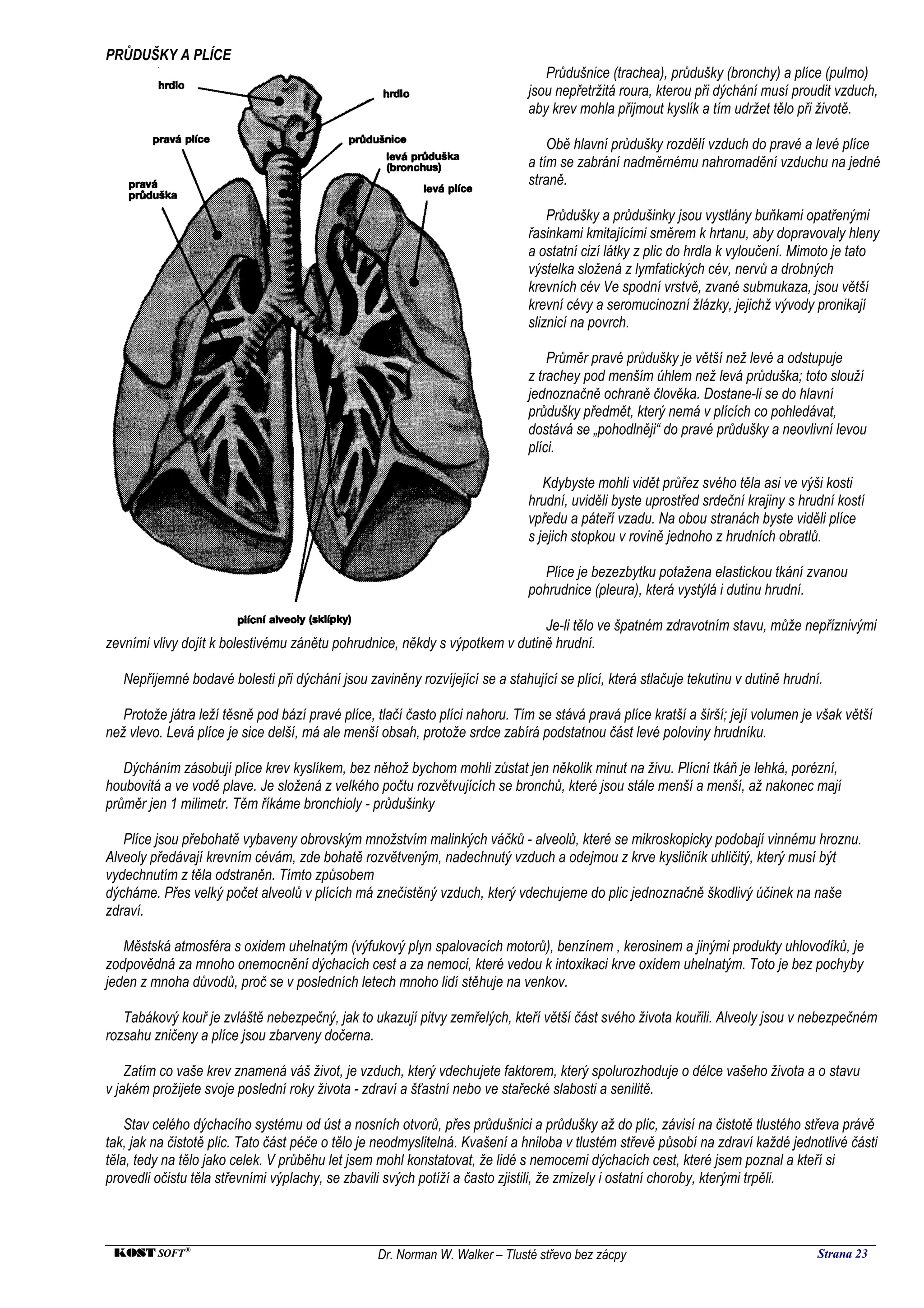 PRŮDUŠKY A PLÍCE
                                                                                 Průdušnice (trachea), průdušky (bronchy) a plíce (pulmo)
                                                                              jsou nepřetržitá roura, kterou při dýchání musí proudit vzduch,
                                                                              aby krev mohla přijmout kyslík a tím udržet tělo při životě.

                                                                                  Obě hlavní průdušky rozdělí vzduch do pravé a levé plíce
                                                                              a tím se zabrání nadměrnému nahromadění vzduchu na jedné
                                                                              straně.

                                                                                  Průdušky a průdušinky jsou vystlány buňkami opatřenými
                                                                              řasinkami kmitajícími směrem k hrtanu, aby dopravovaly hleny
                                                                              a ostatní cizí látky z plic do hrdla k vyloučení. Mimoto je tato
                                                                              výstelka složená z lymfatických cév, nervů a drobných
                                                                              krevních cév Ve spodní vrstvě, zvané submukaza, jsou větší
                                                                              krevní cévy a seromucinozní žlázky, jejichž vývody pronikají
                                                                              sliznicí na povrch.

                                                                                  Průměr pravé průdušky je větší než levé a odstupuje
                                                                              z trachey pod menším úhlem než levá průduška; toto slouží
                                                                              jednoznačně ochraně člověka. Dostane-li se do hlavní
                                                                              průdušky předmět, který nemá v plících co pohledávat,
                                                                              dostává se „pohodlněji“ do pravé průdušky a neovlivní levou
                                                                              plíci.

                                                                                 Kdybyste mohli vidět průřez svého těla asi ve výši kosti
                                                                              hrudní, uviděli byste uprostřed srdeční krajiny s hrudní kostí
                                                                              vpředu a páteří vzadu. Na obou stranách byste viděli plíce
                                                                              s jejich stopkou v rovině jednoho z hrudních obratlů.

                                                                                 Plíce je bezezbytku potažena elastickou tkání zvanou
                                                                              pohrudnice (pleura), která vystýlá i dutinu hrudní.

                                                                             Je-li tělo ve špatném zdravotním stavu, může nepříznivými
zevními vlivy dojít k bolestivému zánětu pohrudnice, někdy s výpotkem v dutině hrudní.

   Nepříjemné bodavé bolesti při dýchání jsou zaviněny rozvíjející se a stahující se plící, která stlačuje tekutinu v dutině hrudní.

   Protože játra leží těsně pod bází pravé plíce, tlačí často plíci nahoru. Tím se stává pravá plíce kratší a širší; její volumen je však větší
než vlevo. Levá plíce je sice delší, má ale menší obsah, protože srdce zabírá podstatnou část levé poloviny hrudníku.

   Dýcháním zásobují plíce krev kyslíkem, bez něhož bychom mohli zůstat jen několik minut na živu. Plícní tkáň je lehká, porézní,
houbovitá a ve vodě plave. Je složená z velkého počtu rozvětvujících se bronchů, které jsou stále menší a menší, až nakonec mají
průměr jen 1 milimetr. Těm říkáme bronchioly - průdušinky

   Plíce jsou přebohatě vybaveny obrovským množstvím malinkých váčků - alveolů, které se mikroskopicky podobají vinnému hroznu.
Alveoly předávají krevním cévám, zde bohatě rozvětveným, nadechnutý vzduch a odejmou z krve kysličník uhličitý, který musí být
vydechnutím z těla odstraněn. Tímto způsobem
dýcháme. Přes velký počet alveolů v plících má znečistěný vzduch, který vdechujeme do plic jednoznačně škodlivý účinek na naše
zdraví.

   Městská atmosféra s oxidem uhelnatým (výfukový plyn spalovacích motorů), benzínem , kerosinem a jinými produkty uhlovodíků, je
zodpovědná za mnoho onemocnění dýchacích cest a za nemoci, které vedou k intoxikaci krve oxidem uhelnatým. Toto je bez pochyby
jeden z mnoha důvodů, proč se v posledních letech mnoho lidí stěhuje na venkov.

   Tabákový kouř je zvláště nebezpečný, jak to ukazují pitvy zemřelých, kteří větší část svého života kouřili. Alveoly jsou v nebezpečném
rozsahu zničeny a plíce jsou zbarveny dočerna.

    Zatím co vaše krev znamená váš život, je vzduch, který vdechujete faktorem, který spolurozhoduje o délce vašeho života a o stavu
v jakém prožijete svoje poslední roky života - zdraví a šťastní nebo ve stařecké slabosti a senilitě.

    Stav celého dýchacího systému od úst a nosních otvorů, přes průdušnici a průdušky až do plic, závisí na čistotě tlustého střeva právě
tak, jak na čistotě plic. Tato část péče o tělo je neodmyslitelná. Kvašení a hniloba v tlustém střevě působí na zdraví každé jednotlivé části
těla, tedy na tělo jako celek. V průběhu let jsem mohl konstatovat, že lidé s nemocemi dýchacích cest, které jsem poznal a kteří si
provedli očistu těla střevními výplachy, se zbavili svých potíží a často zjistili, že zmizely i ostatní choroby, kterými trpěli.



 KOST SOFT ®                                      Dr. Norman W. Walker – Tlusté střevo bez zácpy                                    Strana 23
 