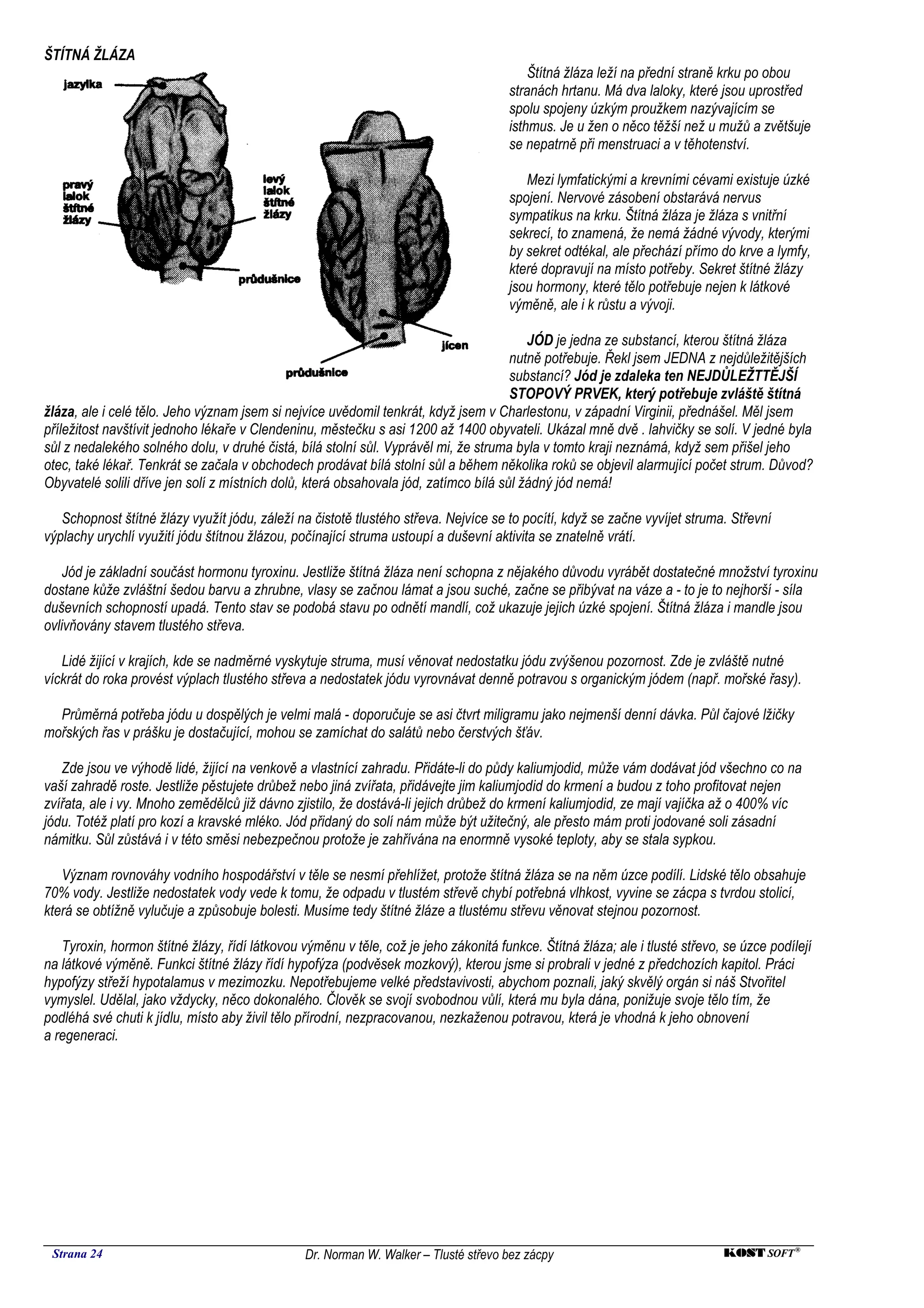 ŠTÍTNÁ ŽLÁZA
                                                                                          Štítná žláza leží na přední straně krku po obou
                                                                                      stranách hrtanu. Má dva laloky, které jsou uprostřed
                                                                                      spolu spojeny úzkým proužkem nazývajícím se
                                                                                      isthmus. Je u žen o něco těžší než u mužů a zvětšuje
                                                                                      se nepatrně při menstruaci a v těhotenství.

                                                                                         Mezi lymfatickými a krevními cévami existuje úzké
                                                                                      spojení. Nervové zásobení obstarává nervus
                                                                                      sympatikus na krku. Štítná žláza je žláza s vnitřní
                                                                                      sekrecí, to znamená, že nemá žádné vývody, kterými
                                                                                      by sekret odtékal, ale přechází přímo do krve a lymfy,
                                                                                      které dopravují na místo potřeby. Sekret štítné žlázy
                                                                                      jsou hormony, které tělo potřebuje nejen k látkové
                                                                                      výměně, ale i k růstu a vývoji.

                                                                                         JÓD je jedna ze substancí, kterou štítná žláza
                                                                                      nutně potřebuje. Řekl jsem JEDNA z nejdůležitějších
                                                                                      substancí? Jód je zdaleka ten NEJDŮLEŽTTĚJŠÍ
                                                                                      STOPOVÝ PRVEK, který potřebuje zvláště štítná
žláza, ale i celé tělo. Jeho význam jsem si nejvíce uvědomil tenkrát, když jsem v Charlestonu, v západní Virginii, přednášel. Měl jsem
příležitost navštívit jednoho lékaře v Clendeninu, městečku s asi 1200 až 1400 obyvateli. Ukázal mně dvě . lahvičky se solí. V jedné byla
sůl z nedalekého solného dolu, v druhé čistá, bílá stolní sůl. Vyprávěl mi, že struma byla v tomto kraji neznámá, když sem přišel jeho
otec, také lékař. Tenkrát se začala v obchodech prodávat bílá stolní sůl a během několika roků se objevil alarmující počet strum. Důvod?
Obyvatelé solili dříve jen solí z místních dolů, která obsahovala jód, zatímco bílá sůl žádný jód nemá!

   Schopnost štítné žlázy využít jódu, záleží na čistotě tlustého střeva. Nejvíce se to pocítí, když se začne vyvíjet struma. Střevní
výplachy urychlí využití jódu štítnou žlázou, počínající struma ustoupí a duševní aktivita se znatelně vrátí.

    Jód je základní součást hormonu tyroxinu. Jestliže štítná žláza není schopna z nějakého důvodu vyrábět dostatečné množství tyroxinu
dostane kůže zvláštní šedou barvu a zhrubne, vlasy se začnou lámat a jsou suché, začne se přibývat na váze a - to je to nejhorší - síla
duševních schopností upadá. Tento stav se podobá stavu po odnětí mandlí, což ukazuje jejich úzké spojení. Štítná žláza i mandle jsou
ovlivňovány stavem tlustého střeva.

   Lidé žijící v krajích, kde se nadměrné vyskytuje struma, musí věnovat nedostatku jódu zvýšenou pozornost. Zde je zvláště nutné
víckrát do roka provést výplach tlustého střeva a nedostatek jódu vyrovnávat denně potravou s organickým jódem (např. mořské řasy).

  Průměrná potřeba jódu u dospělých je velmi malá - doporučuje se asi čtvrt miligramu jako nejmenší denní dávka. Půl čajové lžičky
mořských řas v prášku je dostačující, mohou se zamíchat do salátů nebo čerstvých šťáv.

   Zde jsou ve výhodě lidé, žijící na venkově a vlastnící zahradu. Přidáte-li do půdy kaliumjodid, může vám dodávat jód všechno co na
vaší zahradě roste. Jestliže pěstujete drůbež nebo jiná zvířata, přidávejte jim kaliumjodid do krmení a budou z toho profitovat nejen
zvířata, ale i vy. Mnoho zemědělců již dávno zjistilo, že dostává-li jejich drůbež do krmení kaliumjodid, ze mají vajíčka až o 400% víc
jódu. Totéž platí pro kozí a kravské mléko. Jód přidaný do solí nám může být užitečný, ale přesto mám proti jodované soli zásadní
námitku. Sůl zůstává i v této směsi nebezpečnou protože je zahřívána na enormně vysoké teploty, aby se stala sypkou.

   Význam rovnováhy vodního hospodářství v těle se nesmí přehlížet, protože štítná žláza se na něm úzce podílí. Lidské tělo obsahuje
70% vody. Jestliže nedostatek vody vede k tomu, že odpadu v tlustém střevě chybí potřebná vlhkost, vyvine se zácpa s tvrdou stolicí,
která se obtížně vylučuje a způsobuje bolesti. Musíme tedy štítné žláze a tlustému střevu věnovat stejnou pozornost.

   Tyroxin, hormon štítné žlázy, řídí látkovou výměnu v těle, což je jeho zákonitá funkce. Štítná žláza; ale i tlusté střevo, se úzce podílejí
na látkové výměně. Funkci štítné žlázy řídí hypofýza (podvěsek mozkový), kterou jsme si probrali v jedné z předchozích kapitol. Práci
hypofýzy střeží hypotalamus v mezimozku. Nepotřebujeme velké představivosti, abychom poznali, jaký skvělý orgán si náš Stvořitel
vymyslel. Udělal, jako vždycky, něco dokonalého. Člověk se svojí svobodnou vůlí, která mu byla dána, ponižuje svoje tělo tím, že
podléhá své chuti k jídlu, místo aby živil tělo přírodní, nezpracovanou, nezkaženou potravou, která je vhodná k jeho obnovení
a regeneraci.




 Strana 24                                      Dr. Norman W. Walker – Tlusté střevo bez zácpy                               KOST SOFT ®
 