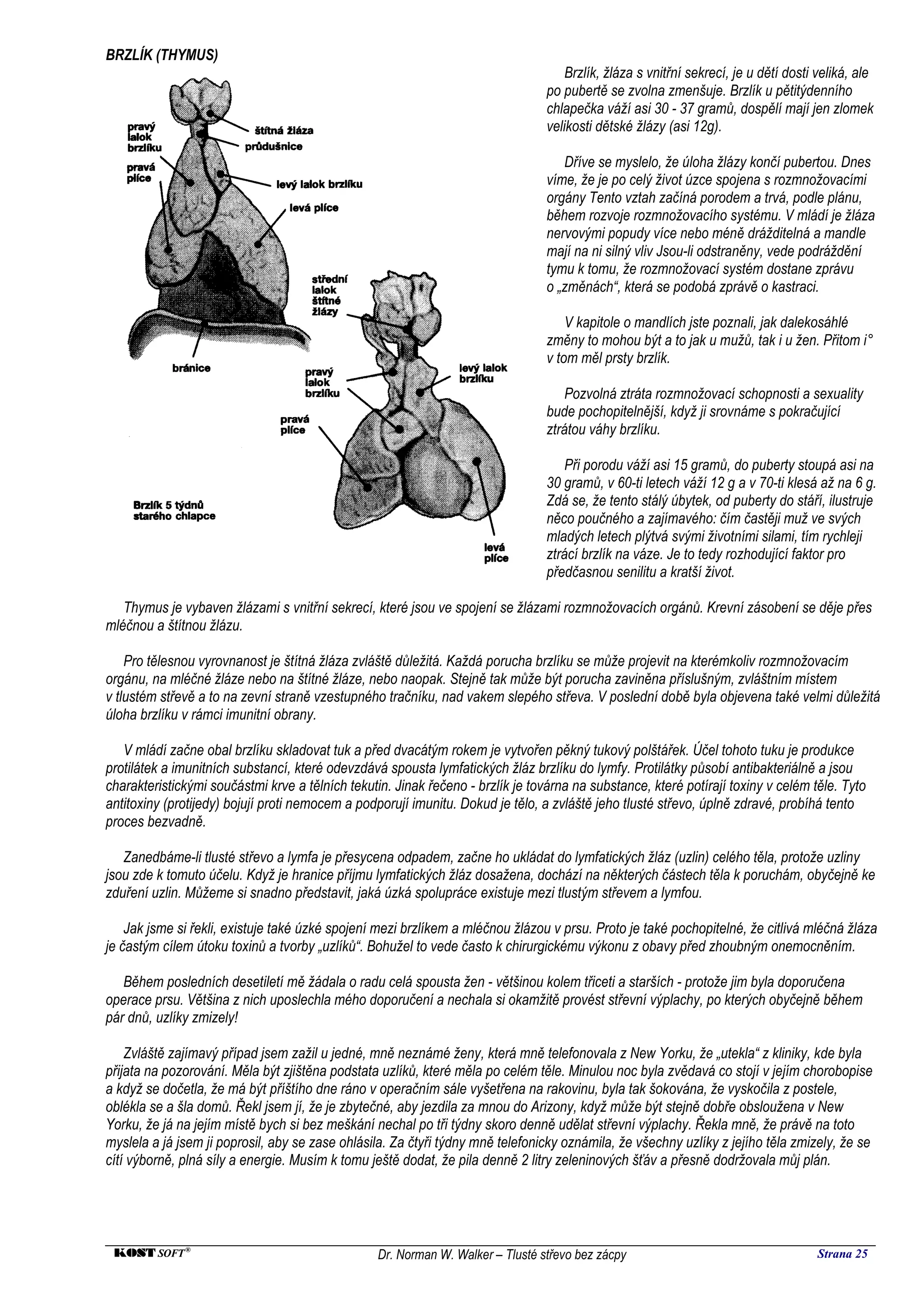 BRZLÍK (THYMUS)
                                                                                     Brzlík, žláza s vnitřní sekrecí, je u dětí dosti veliká, ale
                                                                                 po pubertě se zvolna zmenšuje. Brzlík u pětitýdenního
                                                                                 chlapečka váží asi 30 - 37 gramů, dospělí mají jen zlomek
                                                                                 velikosti dětské žlázy (asi 12g).

                                                                                    Dříve se myslelo, že úloha žlázy končí pubertou. Dnes
                                                                                 víme, že je po celý život úzce spojena s rozmnožovacími
                                                                                 orgány Tento vztah začíná porodem a trvá, podle plánu,
                                                                                 během rozvoje rozmnožovacího systému. V mládí je žláza
                                                                                 nervovými popudy více nebo méně drážditelná a mandle
                                                                                 mají na ni silný vliv Jsou-li odstraněny, vede podráždění
                                                                                 tymu k tomu, že rozmnožovací systém dostane zprávu
                                                                                 o „změnách“, která se podobá zprávě o kastraci.

                                                                                     V kapitole o mandlích jste poznali, jak dalekosáhlé
                                                                                 změny to mohou být a to jak u mužů, tak i u žen. Přitom i°
                                                                                 v tom měl prsty brzlík.

                                                                                     Pozvolná ztráta rozmnožovací schopnosti a sexuality
                                                                                 bude pochopitelnější, když ji srovnáme s pokračující
                                                                                 ztrátou váhy brzlíku.

                                                                                     Při porodu váží asi 15 gramů, do puberty stoupá asi na
                                                                                 30 gramů, v 60-ti letech váží 12 g a v 70-ti klesá až na 6 g.
                                                                                 Zdá se, že tento stálý úbytek, od puberty do stáří, ilustruje
                                                                                 něco poučného a zajímavého: čím častěji muž ve svých
                                                                                 mladých letech plýtvá svými životními silami, tím rychleji
                                                                                 ztrácí brzlík na váze. Je to tedy rozhodující faktor pro
                                                                                 předčasnou senilitu a kratší život.

   Thymus je vybaven žlázami s vnitřní sekrecí, které jsou ve spojení se žlázami rozmnožovacích orgánů. Krevní zásobení se děje přes
mléčnou a štítnou žlázu.

    Pro tělesnou vyrovnanost je štítná žláza zvláště důležitá. Každá porucha brzlíku se může projevit na kterémkoliv rozmnožovacím
orgánu, na mléčné žláze nebo na štítné žláze, nebo naopak. Stejně tak může být porucha zaviněna příslušným, zvláštním místem
v tlustém střevě a to na zevní straně vzestupného tračníku, nad vakem slepého střeva. V poslední době byla objevena také velmi důležitá
úloha brzlíku v rámci imunitní obrany.

   V mládí začne obal brzlíku skladovat tuk a před dvacátým rokem je vytvořen pěkný tukový polštářek. Účel tohoto tuku je produkce
protilátek a imunitních substancí, které odevzdává spousta lymfatických žláz brzlíku do lymfy. Protilátky působí antibakteriálně a jsou
charakteristickými součástmi krve a tělních tekutin. Jinak řečeno - brzlík je továrna na substance, které potírají toxiny v celém těle. Tyto
antitoxiny (protijedy) bojují proti nemocem a podporují imunitu. Dokud je tělo, a zvláště jeho tlusté střevo, úplně zdravé, probíhá tento
proces bezvadně.

   Zanedbáme-li tlusté střevo a lymfa je přesycena odpadem, začne ho ukládat do lymfatických žláz (uzlin) celého těla, protože uzliny
jsou zde k tomuto účelu. Když je hranice příjmu lymfatických žláz dosažena, dochází na některých částech těla k poruchám, obyčejně ke
zduření uzlin. Můžeme si snadno představit, jaká úzká spolupráce existuje mezi tlustým střevem a lymfou.

    Jak jsme si řekli, existuje také úzké spojení mezi brzlíkem a mléčnou žlázou v prsu. Proto je také pochopitelné, že citlivá mléčná žláza
je častým cílem útoku toxinů a tvorby „uzlíků“. Bohužel to vede často k chirurgickému výkonu z obavy před zhoubným onemocněním.

   Během posledních desetiletí mě žádala o radu celá spousta žen - většinou kolem třiceti a starších - protože jim byla doporučena
operace prsu. Většina z nich uposlechla mého doporučení a nechala si okamžitě provést střevní výplachy, po kterých obyčejně během
pár dnů, uzlíky zmizely!

    Zvláště zajímavý případ jsem zažil u jedné, mně neznámé ženy, která mně telefonovala z New Yorku, že „utekla“ z kliniky, kde byla
přijata na pozorování. Měla být zjištěna podstata uzlíků, které měla po celém těle. Minulou noc byla zvědavá co stojí v jejím chorobopise
a když se dočetla, že má být příštího dne ráno v operačním sále vyšetřena na rakovinu, byla tak šokována, že vyskočila z postele,
oblékla se a šla domů. Řekl jsem jí, že je zbytečné, aby jezdila za mnou do Arizony, když může být stejně dobře obsloužena v New
Yorku, že já na jejím místě bych si bez meškání nechal po tři týdny skoro denně udělat střevní výplachy. Řekla mně, že právě na toto
myslela a já jsem ji poprosil, aby se zase ohlásila. Za čtyři týdny mně telefonicky oznámila, že všechny uzlíky z jejího těla zmizely, že se
cítí výborně, plná síly a energie. Musím k tomu ještě dodat, že pila denně 2 litry zeleninových šťáv a přesně dodržovala můj plán.




 KOST SOFT ®                                      Dr. Norman W. Walker – Tlusté střevo bez zácpy                                      Strana 25
 
