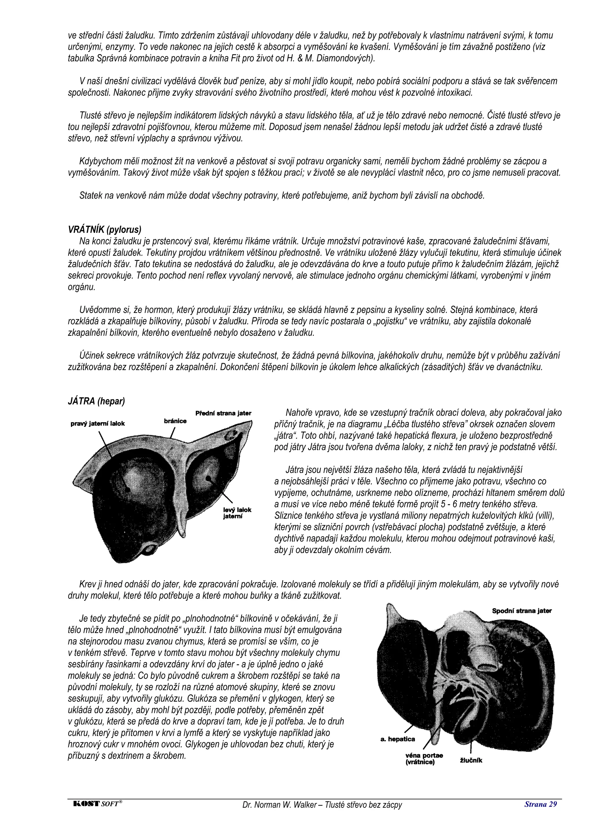 ve střední části žaludku. Tímto zdržením zůstávají uhlovodany déle v žaludku, než by potřebovaly k vlastnímu natrávení svými, k tomu
určenými, enzymy. To vede nakonec na jejich cestě k absorpci a vyměšování ke kvašení. Vyměšování je tím závažně postiženo (viz
tabulka Správná kombinace potravin a kniha Fit pro život od H. & M. Diamondových).

   V naší dnešní civilizaci vydělává člověk buď peníze, aby si mohl jídlo koupit, nebo pobírá sociální podporu a stává se tak svěřencem
společnosti. Nakonec přijme zvyky stravování svého životního prostředí, které mohou vést k pozvolné intoxikaci.

    Tlusté střevo je nejlepším indikátorem lidských návyků a stavu lidského těla, ať už je tělo zdravé nebo nemocné. Čisté tlusté střevo je
tou nejlepší zdravotní pojišťovnou, kterou můžeme mít. Doposud jsem nenašel žádnou lepší metodu jak udržet čisté a zdravé tlusté
střevo, než střevní výplachy a správnou výživou.

  Kdybychom měli možnost žít na venkově a pěstovat si svoji potravu organicky sami, neměli bychom žádné problémy se zácpou a
vyměšováním. Takový život může však být spojen s těžkou prací; v životě se ale nevyplácí vlastnit něco, pro co jsme nemuseli pracovat.

   Statek na venkově nám může dodat všechny potraviny, které potřebujeme, aniž bychom byli závislí na obchodě.


VRÁTNÍK (pylorus)
   Na konci žaludku je prstencový sval, kterému říkáme vrátník. Určuje množství potravinové kaše, zpracované žaludečními šťávami,
které opustí žaludek. Tekutiny projdou vrátníkem většinou přednostně. Ve vrátníku uložené žlázy vylučují tekutinu, která stimuluje účinek
žaludečních šťáv. Tato tekutina se nedostává do žaludku, ale je odevzdávána do krve a touto putuje přímo k žaludečním žlázám, jejichž
sekreci provokuje. Tento pochod není reflex vyvolaný nervově, ale stimulace jednoho orgánu chemickými látkami, vyrobenými v jiném
orgánu.

   Uvědomme si, že hormon, který produkují žlázy vrátníku, se skládá hlavně z pepsinu a kyseliny solné. Stejná kombinace, která
rozkládá a zkapalňuje bílkoviny, působí v žaludku. Příroda se tedy navíc postarala o „pojistku“ ve vrátníku, aby zajistila dokonalé
zkapalnění bílkovin, kterého eventuelně nebylo dosaženo v žaludku.

   Účinek sekrece vrátníkových žláz potvrzuje skutečnost, že žádná pevná bílkovina, jakéhokoliv druhu, nemůže být v průběhu zažívání
zužitkována bez rozštěpení a zkapalnění. Dokončení štěpení bílkovin je úkolem lehce alkalických (zásaditých) šťáv ve dvanáctníku.


JÁTRA (hepar)
                                                              Nahoře vpravo, kde se vzestupný tračník obrací doleva, aby pokračoval jako
                                                          příčný tračník, je na diagramu „Léčba tlustého střeva” okrsek označen slovem
                                                          „játra“. Toto ohbí, nazývané také hepatická flexura, je uloženo bezprostředně
                                                          pod játry Játra jsou tvořena dvěma laloky, z nichž ten pravý je podstatně větší.

                                                              Játra jsou největší žláza našeho těla, která zvládá tu nejaktivnější
                                                          a nejobsáhlejší práci v těle. Všechno co přijmeme jako potravu, všechno co
                                                          vypijeme, ochutnáme, usrkneme nebo olízneme, prochází hltanem směrem dolů
                                                          a musí ve více nebo méně tekuté formě projít 5 - 6 metry tenkého střeva.
                                                          Sliznice tenkého střeva je vystlaná miliony nepatrných kuželovitých klků (villi),
                                                          kterými se slizniční povrch (vstřebávací plocha) podstatně zvětšuje, a které
                                                          dychtivě napadají každou molekulu, kterou mohou odejmout potravinové kaši,
                                                          aby ji odevzdaly okolním cévám.


   Krev ji hned odnáší do jater, kde zpracování pokračuje. Izolované molekuly se třídí a přidělují jiným molekulám, aby se vytvořily nové
druhy molekul, které tělo potřebuje a které mohou buňky a tkáně zužitkovat.

    Je tedy zbytečné se pídit po „plnohodnotné“ bílkovině v očekávání, že ji
tělo může hned „plnohodnotně“ využít. I tato bílkovina musí být emulgována
na stejnorodou masu zvanou chymus, která se promísí se vším, co je
v tenkém střevě. Teprve v tomto stavu mohou být všechny molekuly chymu
sesbírány řasinkami a odevzdány krví do jater - a je úplně jedno o jaké
molekuly se jedná: Co bylo původně cukrem a škrobem rozštěpí se také na
původní molekuly, ty se rozloží na různé atomové skupiny, které se znovu
seskupují, aby vytvořily glukózu. Glukóza se přemění v glykogen, který se
ukládá do zásoby, aby mohl být později, podle potřeby, přeměněn zpět
v glukózu, která se předá do krve a dopraví tam, kde je jí potřeba. Je to druh
cukru, který je přítomen v krvi a lymfě a který se vyskytuje například jako
hroznový cukr v mnohém ovoci. Glykogen je uhlovodan bez chuti, který je
příbuzný s dextrinem a škrobem.



 KOST SOFT ®                                     Dr. Norman W. Walker – Tlusté střevo bez zácpy                                 Strana 29
 