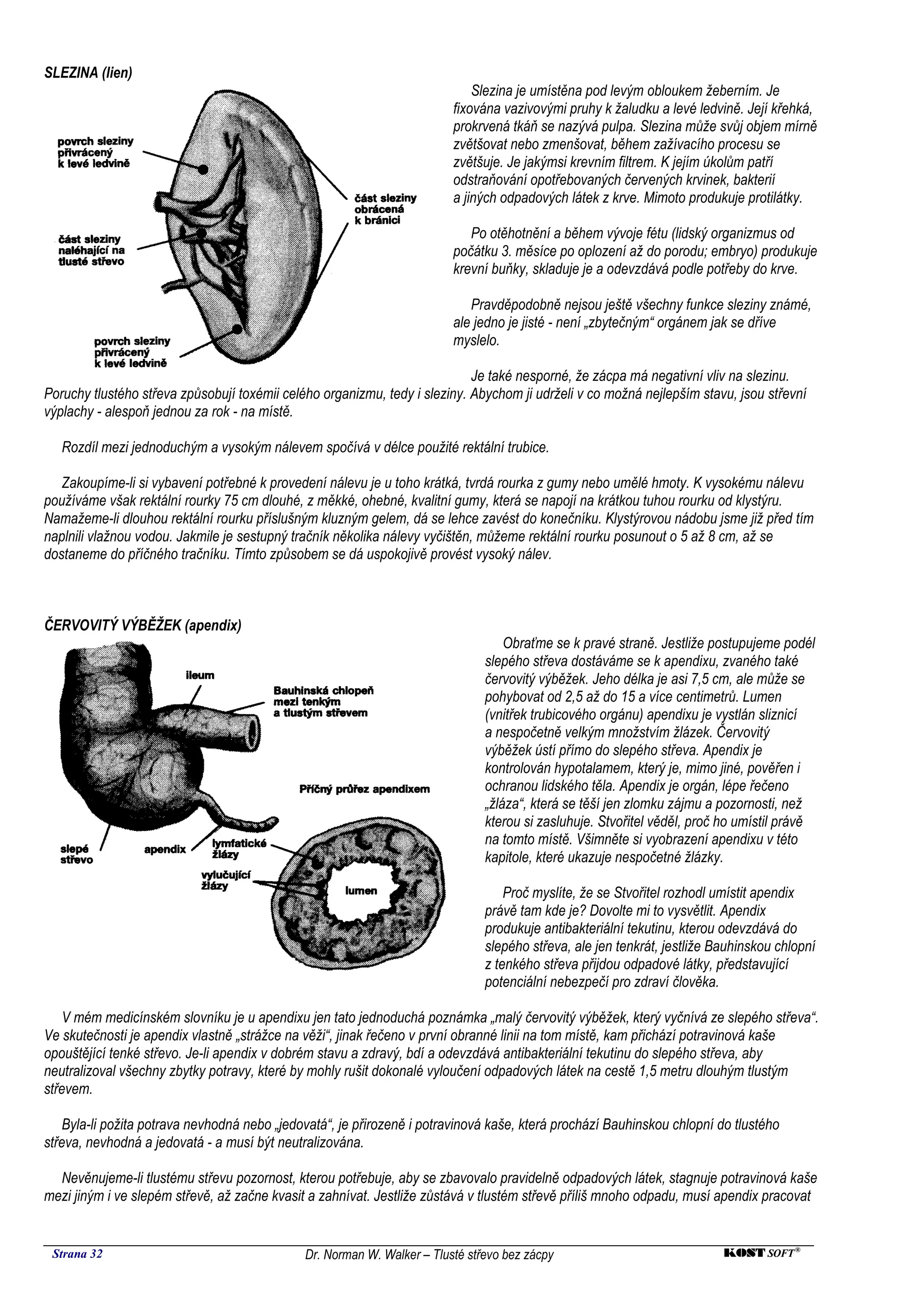 SLEZINA (lien)
                                                                             Slezina je umístěna pod levým obloukem žeberním. Je
                                                                         fixována vazivovými pruhy k žaludku a levé ledvině. Její křehká,
                                                                         prokrvená tkáň se nazývá pulpa. Slezina může svůj objem mírně
                                                                         zvětšovat nebo zmenšovat, během zažívacího procesu se
                                                                         zvětšuje. Je jakýmsi krevním filtrem. K jejím úkolům patří
                                                                         odstraňování opotřebovaných červených krvinek, bakterií
                                                                         a jiných odpadových látek z krve. Mimoto produkuje protilátky.

                                                                            Po otěhotnění a během vývoje fétu (lidský organizmus od
                                                                         počátku 3. měsíce po oplození až do porodu; embryo) produkuje
                                                                         krevní buňky, skladuje je a odevzdává podle potřeby do krve.

                                                                            Pravděpodobně nejsou ještě všechny funkce sleziny známé,
                                                                         ale jedno je jisté - není „zbytečným“ orgánem jak se dříve
                                                                         myslelo.

                                                                            Je také nesporné, že zácpa má negativní vliv na slezinu.
Poruchy tlustého střeva způsobují toxémii celého organizmu, tedy i sleziny. Abychom ji udrželi v co možná nejlepším stavu, jsou střevní
výplachy - alespoň jednou za rok - na místě.

   Rozdíl mezi jednoduchým a vysokým nálevem spočívá v délce použité rektální trubice.

   Zakoupíme-li si vybavení potřebné k provedení nálevu je u toho krátká, tvrdá rourka z gumy nebo umělé hmoty. K vysokému nálevu
používáme však rektální rourky 75 cm dlouhé, z měkké, ohebné, kvalitní gumy, která se napojí na krátkou tuhou rourku od klystýru.
Namažeme-li dlouhou rektální rourku příslušným kluzným gelem, dá se lehce zavést do konečníku. Klystýrovou nádobu jsme již před tím
naplnili vlažnou vodou. Jakmile je sestupný tračník několika nálevy vyčištěn, můžeme rektální rourku posunout o 5 až 8 cm, až se
dostaneme do příčného tračníku. Tímto způsobem se dá uspokojivě provést vysoký nálev.



ČERVOVITÝ VÝBĚŽEK (apendix)
                                                                                   Obraťme se k pravé straně. Jestliže postupujeme podél
                                                                               slepého střeva dostáváme se k apendixu, zvaného také
                                                                               červovitý výběžek. Jeho délka je asi 7,5 cm, ale může se
                                                                               pohybovat od 2,5 až do 15 a více centimetrů. Lumen
                                                                               (vnitřek trubicového orgánu) apendixu je vystlán sliznicí
                                                                               a nespočetně velkým množstvím žlázek. Červovitý
                                                                               výběžek ústí přímo do slepého střeva. Apendix je
                                                                               kontrolován hypotalamem, který je, mimo jiné, pověřen i
                                                                               ochranou lidského těla. Apendix je orgán, lépe řečeno
                                                                               „žláza“, která se těší jen zlomku zájmu a pozornosti, než
                                                                               kterou si zasluhuje. Stvořitel věděl, proč ho umístil právě
                                                                               na tomto místě. Všimněte si vyobrazení apendixu v této
                                                                               kapitole, které ukazuje nespočetné žlázky.

                                                                                   Proč myslíte, že se Stvořitel rozhodl umístit apendix
                                                                               právě tam kde je? Dovolte mi to vysvětlit. Apendix
                                                                               produkuje antibakteriální tekutinu, kterou odevzdává do
                                                                               slepého střeva, ale jen tenkrát, jestliže Bauhinskou chlopní
                                                                               z tenkého střeva přijdou odpadové látky, představující
                                                                               potenciální nebezpečí pro zdraví člověka.

    V mém medicínském slovníku je u apendixu jen tato jednoduchá poznámka „malý červovitý výběžek, který vyčnívá ze slepého střeva“.
Ve skutečnosti je apendix vlastně „strážce na věži“, jinak řečeno v první obranné linii na tom místě, kam přichází potravinová kaše
opouštějící tenké střevo. Je-li apendix v dobrém stavu a zdravý, bdí a odevzdává antibakteriální tekutinu do slepého střeva, aby
neutralizoval všechny zbytky potravy, které by mohly rušit dokonalé vyloučení odpadových látek na cestě 1,5 metru dlouhým tlustým
střevem.

    Byla-li požita potrava nevhodná nebo „jedovatá“, je přirozeně i potravinová kaše, která prochází Bauhinskou chlopní do tlustého
střeva, nevhodná a jedovatá - a musí být neutralizována.

  Nevěnujeme-li tlustému střevu pozornost, kterou potřebuje, aby se zbavovalo pravidelně odpadových látek, stagnuje potravinová kaše
mezi jiným i ve slepém střevě, až začne kvasit a zahnívat. Jestliže zůstává v tlustém střevě příliš mnoho odpadu, musí apendix pracovat


 Strana 32                                    Dr. Norman W. Walker – Tlusté střevo bez zácpy                              KOST SOFT ®
 