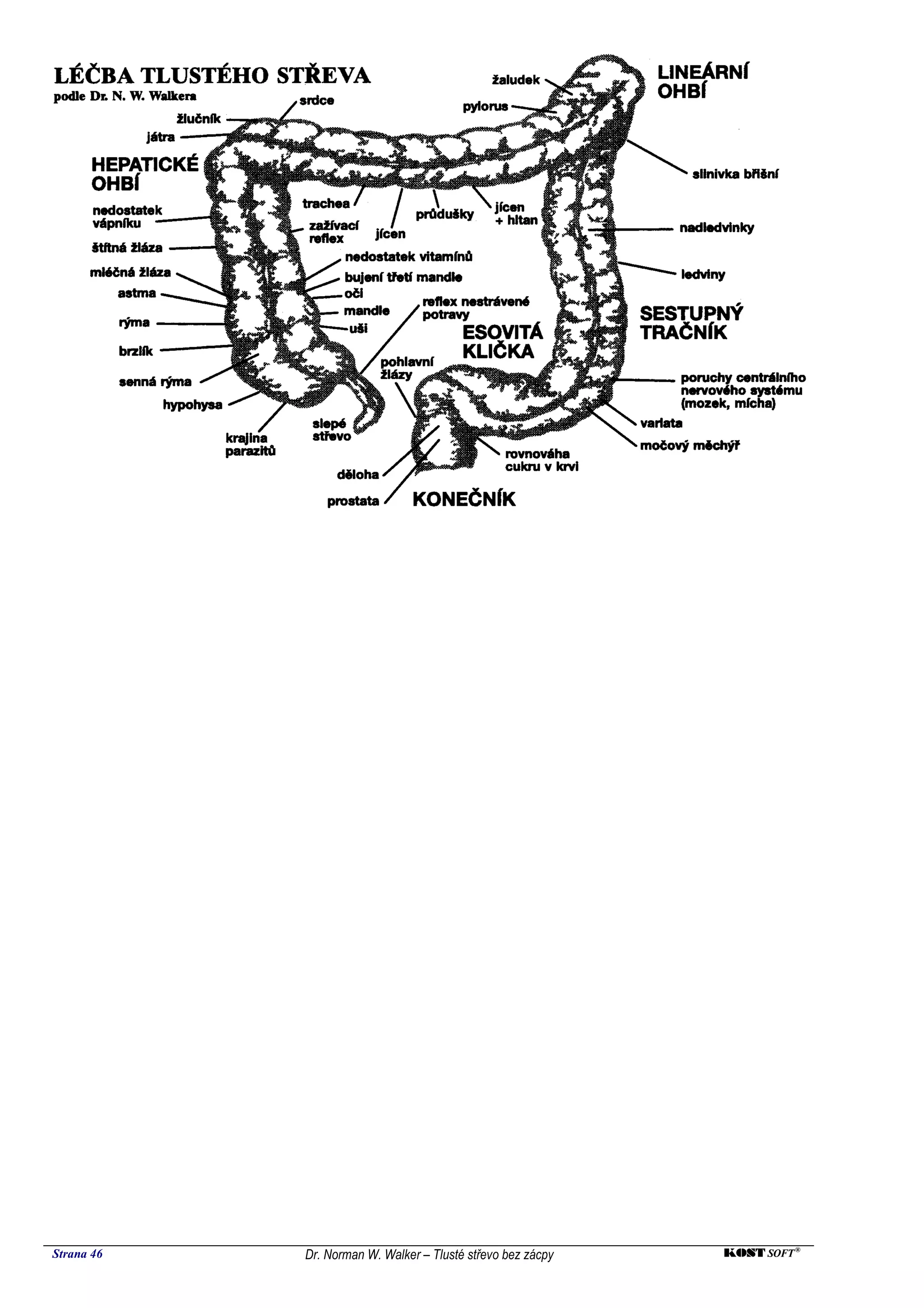 Strana 46   Dr. Norman W. Walker – Tlusté střevo bez zácpy   KOST SOFT ®
 