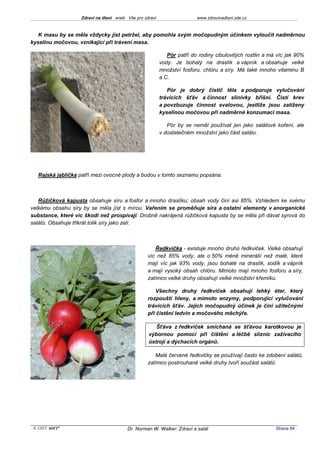 Zdraví na dlani aneb Vše pro zdraví                  www.zdravinadlani.zde.cz



   K masu by se měla vždycky jíst petržel, aby pomohla svým močopudným účinkem vyloučit nadměrnou
kyselinu močovou, vznikající při trávení masa.

                                                             Pór patří do rodiny cibulovitých rostlin a má víc jak 90%
                                                          vody. Je bohatý na draslík a vápník a obsahuje velké
                                                          množství fosforu, chlóru a síry. Má také mnoho vitaminu B
                                                          a C.

                                                             Pór je dobrý čistič těla a podporuje vylučování
                                                          trávicích šťáv a činnost slinivky břišní. Čistí krev
                                                          a povzbuzuje činnost svalovou, jestliže jsou zatíženy
                                                          kyselinou močovou při nadměrné konzumaci masa.

                                                             Pór by se neměl používat jen jako salátové koření, ale
                                                          v dostatečném množství jako část salátu.




   Rajská jablíčka patří mezi ovocné plody a budou v tomto seznamu popsána.



   Růžičková kapusta obsahuje síru a fosfor a mnoho draslíku; obsah vody činí asi 85%. Vzhledem ke svému
velkému obsahu síry by se měla jíst s mírou. Vařením se proměňuje síra a ostatní elementy v anorganické
substance, které víc škodí než prospívají. Drobně nakrájená růžičková kapusta by se měla při dávat syrová do
salátů. Obsahuje třikrát tolik síry jako zelí.



                                                      Ředkvička - existuje mnoho druhů ředkviček. Velké obsahují
                                                   víc než 85% vody, ale o 50% méně minerálií než malé, které
                                                   mají víc jak 93% vody, jsou bohaté na draslík, sodík a vápník
                                                   a mají vysoký obsah chlóru. Mimoto mají mnoho fosforu a síry,
                                                   zatímco velké druhy obsahují velké množství křemíku.

                                                       Všechny druhy ředkviček obsahují lehký éter, který
                                                   rozpouští hleny, a mimoto enzymy, podporující vylučování
                                                   trávicích šťáv. Jejich močopudný účinek je činí užitečnými
                                                   při čistění ledvin a močového měchýře.

                                                      Šťáva z ředkviček smíchaná se šťávou karotkovou je
                                                   výbornou pomocí při čištění a léčbě sliznic zažívacího
                                                   ústrojí a dýchacích orgánů.

                                                      Malé červené ředkvičky se používají často ke zdobení salátů,
                                                   zatímco postrouhané velké druhy tvoří součást salátů.




 KOST SOFT ®                             Dr. Norman W. Walker: Zdraví a salát                             Strana 64
 