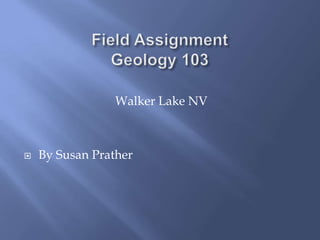 Walker Lake NV



   By Susan Prather
 