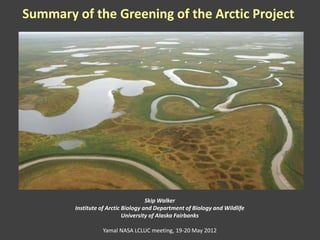 Summary of the Greening of the Arctic Project




                                     Skip Walker
        Institute of Arctic Biology and Department of Biology and Wildlife
                            University of Alaska Fairbanks

                  Yamal NASA LCLUC meeting, 19-20 May 2012
 
