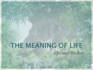 THE MEANING OF LIFE
           Chelsea Walker
 