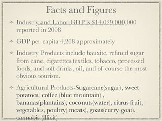 Facts and Figures
Industry and Labor-GDP is $14,029,000,000
reported in 2008
GDP per capita 4,268 approximately
Industry Products include bauxite, reﬁned sugar
from cane, cigarettes,textiles, tobacco, processed
foods, and soft drinks, oil, and of course the most
obvious tourism.
Agricultural Products-Sugarcane(sugar), sweet
potatoes, coffee (blue mountain) ,
bananas(plantains), coconuts(water), citrus fruit,
vegetables, poultry( meats), goats(curry goat),
cannabis (illicit)
 