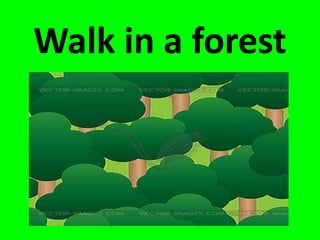 Walk in a forest
 