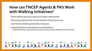 How canTNCEP Agents & PA’s Work
with Walking Initiatives?
• Assist partner groups to organize and plan walking trails
• Promoting walking trails and the benefits of physical activity
• Contribute toWalking School Bus Initiatives
• Supporting Extension programs and publications
• Faithful Families, Eating Smart at Home, Easy Choices, Walk Across Tennessee
 