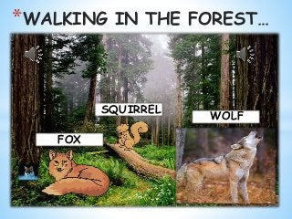 *WALKING IN THE FOREST…
WOLF
FOX
SQUIRREL
 