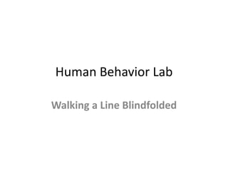 Human Behavior Lab

Walking a Line Blindfolded
 