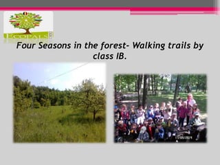 Four Seasons in the forest- Walking trails by 
class IB. 
 