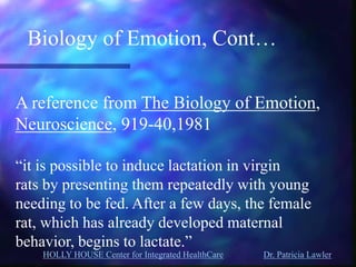 HOLLY HOUSE Center for Integrated HealthCare Dr. Patricia Lawler 
Biology of Emotion, Cont… 
A reference from The Biology of Emotion, Neuroscience, 919-40,1981 “it is possible to induce lactation in virgin rats by presenting them repeatedly with young needing to be fed. After a few days, the female rat, which has already developed maternal behavior, begins to lactate.”  