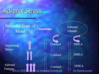 HOLLY HOUSE Center for Integrated HealthCare Dr. Patricia Lawler 
Adrenal Stress 
Stressful State of Mind 
Adrenal Glands 
Increasing 
Stress 
Cortisol 
DHEA 
Cortisol 
Cortisol 
DHEA 
DHEA 
Adrenal Fatigue  