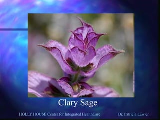 HOLLY HOUSE Center for Integrated HealthCare Dr. Patricia Lawler 
Clary Sage  