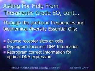 HOLLY HOUSE Center for Integrated HealthCare Dr. Patricia Lawler 
Asking For Help From Therapeutic Grade EO, cont… 
Through the profound frequencies and 
biochemical diversity Essential Oils: 
Cleanse receptor sites on cells 
Deprogram Incorrect DNA Information 
Reprogram correct Information for optimal DNA expression  