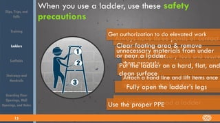 Walking Working Surfaces & Elevated Work | PPSX