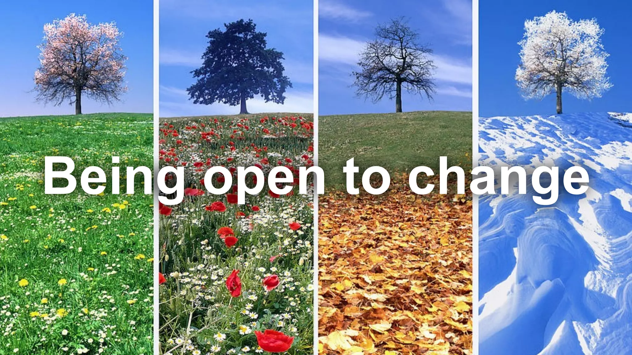 Being open to change
 