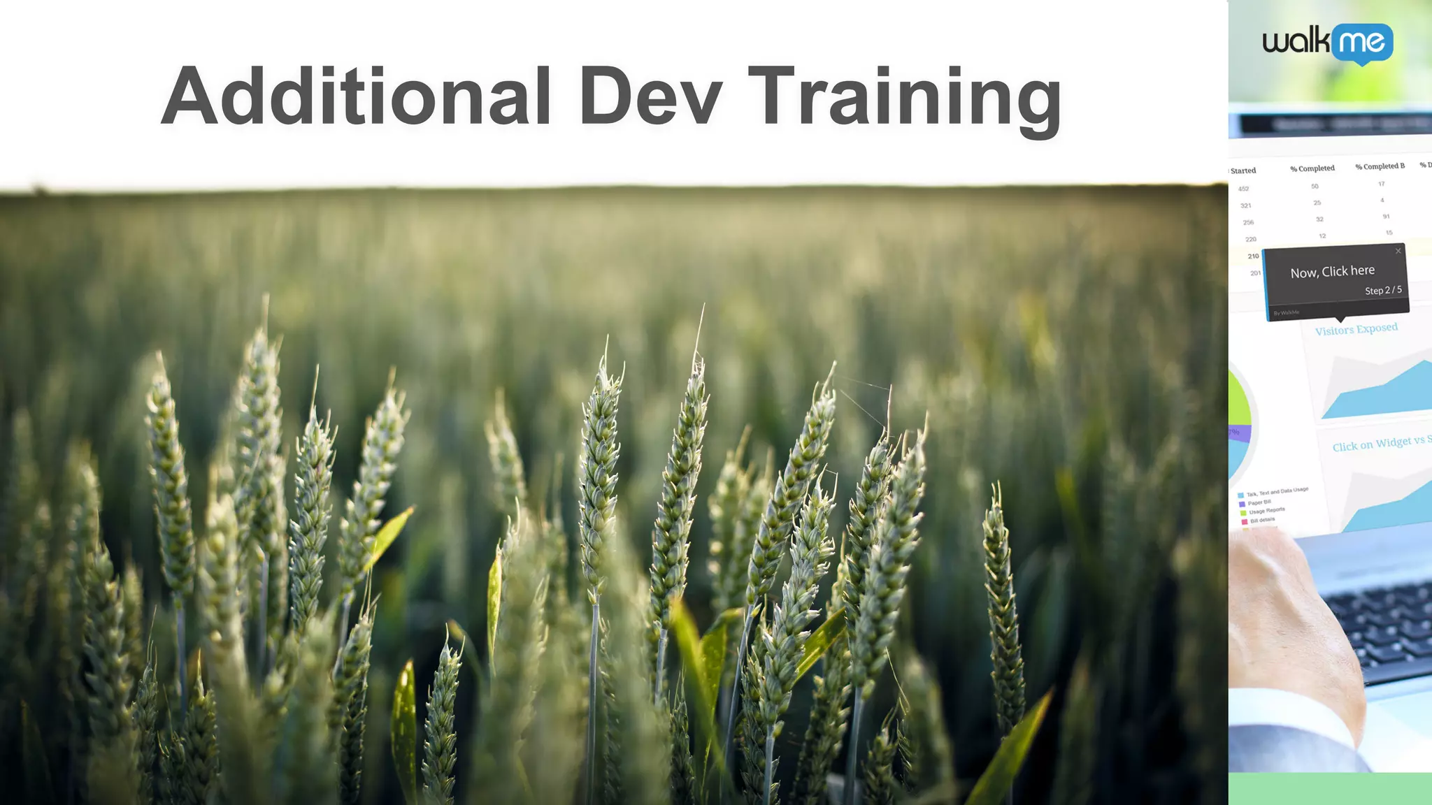 Additional Dev Training
 