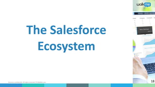 Business confidential. All rights reserved. © WalkMe.com
The Salesforce
Ecosystem
18
 