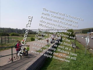 The Camel Trail The camel trail is located in north Cornwall between Bodmin and Padstow and also passes through Wadebridge. It is very popular with walkers and cyclists. The hub of the Camel trail can be found in Wadebridge as well as a cycle hire shop. Walkers have wright of way but cyclists still seem to enjoy themselves.  