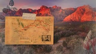 12
Bernardo de Gálvez y
Madrid
 