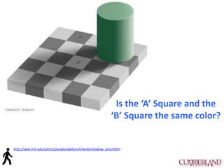 Is the ‘A’ Square and the
‘B’ Square the same color?
http://web.mit.edu/persci/people/adelson/checkershadow_proof.htm
 
