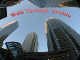 Walk Through  Toronto 