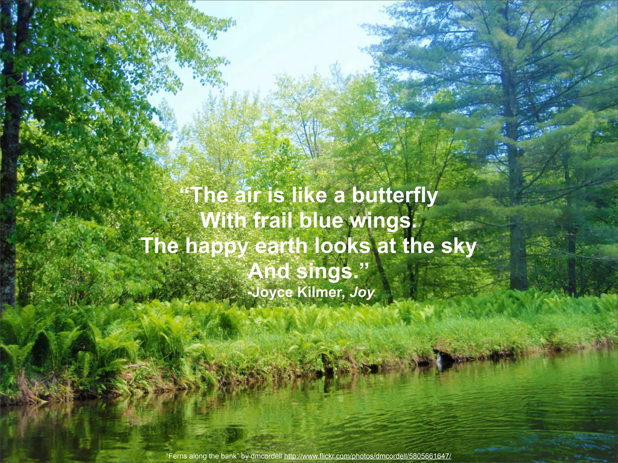 “The air is like a butterfly
     With frail blue wings.
The happy earth looks at the sky
         And sings.”
                          -Joyce Kilmer, Joy




  “Ferns along the bank” by dmcordell http://www.flickr.com/photos/dmcordell/5805661647/
 