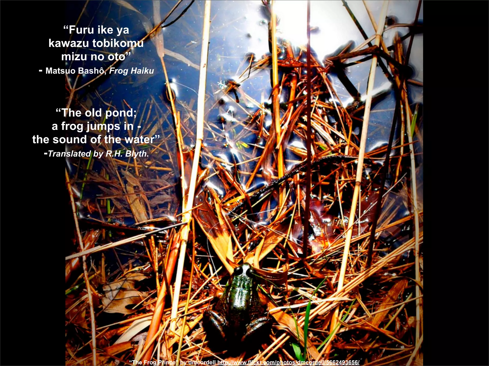 “Furu ike ya
   kawazu tobikomu
     mizu no oto”
 - Matsuo Bashô, Frog Haiku


     “The old pond;
    a frog jumps in -
the sound of the water”
  -Translated by R.H. Blyth.




                     “The Frog Prince” by dmcordell http://www.flickr.com/photos/dmcordell/5662493656/
 