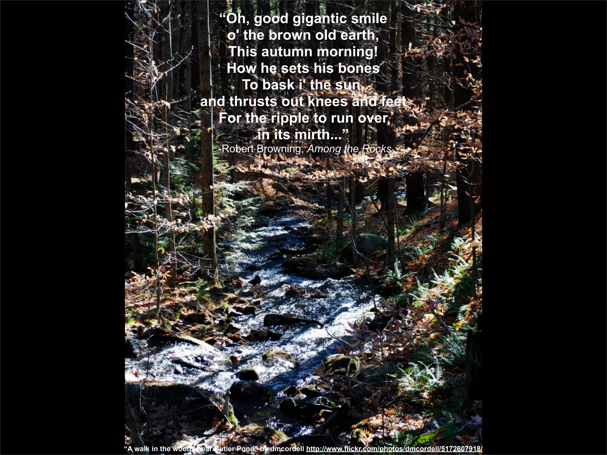 “Oh, good gigantic smile
                        o' the brown old earth,
                         This autumn morning!
                        How he sets his bones
                           To bask i' the sun,
                     and thrusts out knees and feet
                       For the ripple to run over
                             in its mirth...”
                          -Robert Browning, Among the Rocks




“A walk in the woods near Butler Pond” by dmcordell http://www.flickr.com/photos/dmcordell/5172607918/
 