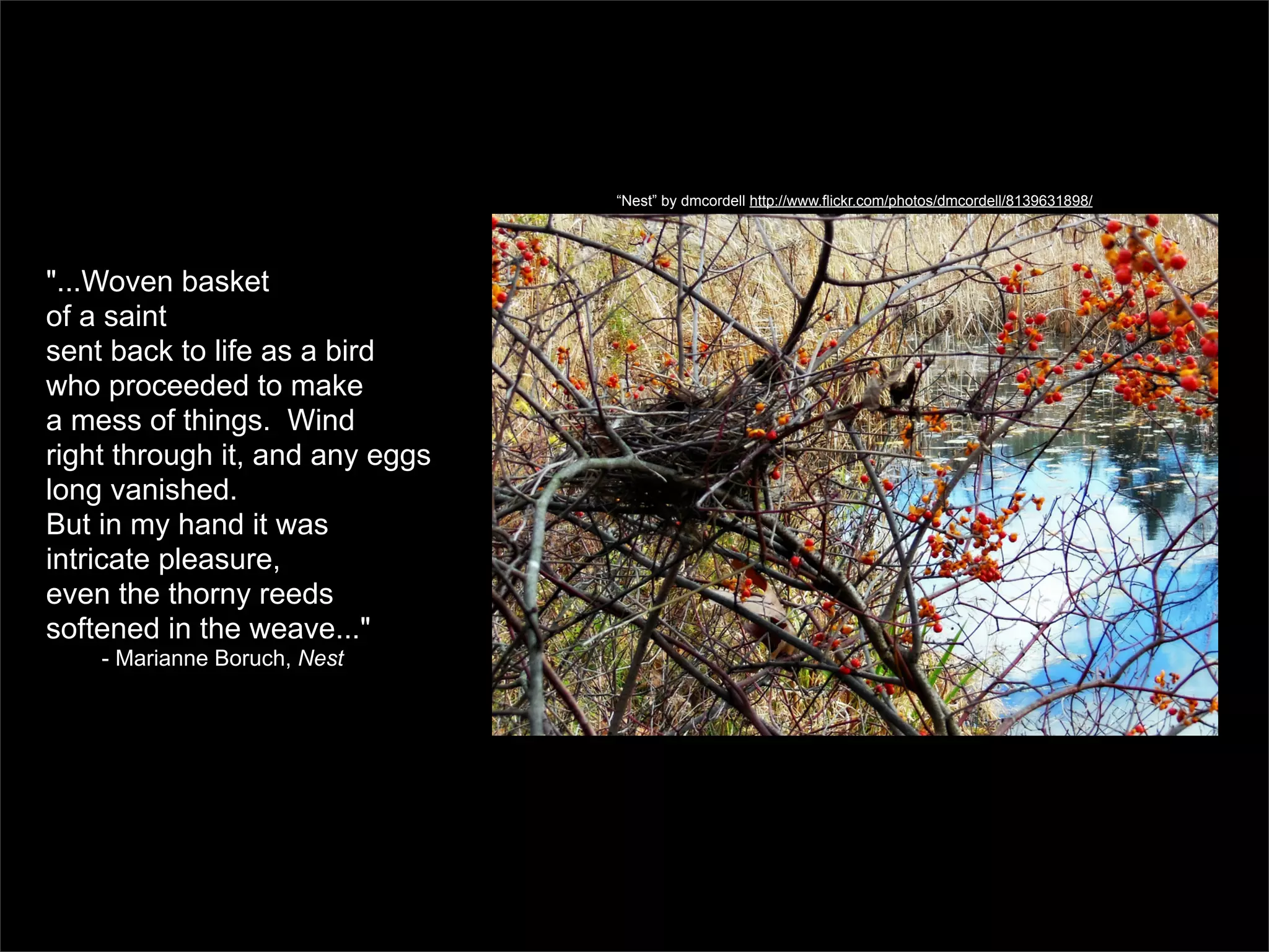 “Nest” by dmcordell http://www.flickr.com/photos/dmcordell/8139631898/




"...Woven basket
of a saint
sent back to life as a bird
who proceeded to make
a mess of things. Wind
right through it, and any eggs
long vanished.
But in my hand it was
intricate pleasure,
even the thorny reeds
softened in the weave..."
    - Marianne Boruch, Nest
 