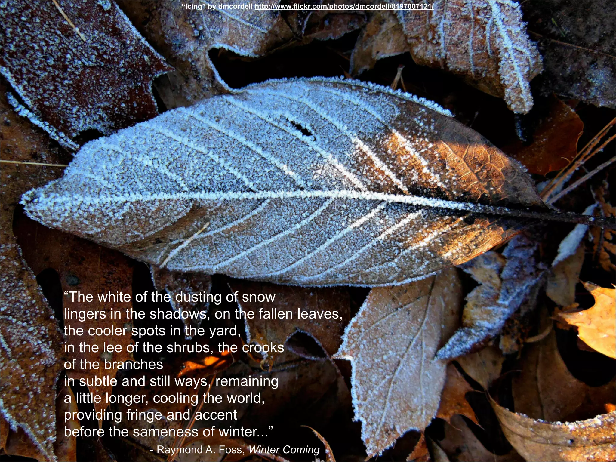 “Icing” by dmcordell http://www.flickr.com/photos/dmcordell/8197007121/




“The white of the dusting of snow
lingers in the shadows, on the fallen leaves,
the cooler spots in the yard,
in the lee of the shrubs, the crooks
of the branches
in subtle and still ways, remaining
a little longer, cooling the world,
providing fringe and accent
before the sameness of winter...”
             - Raymond A. Foss, Winter Coming
 