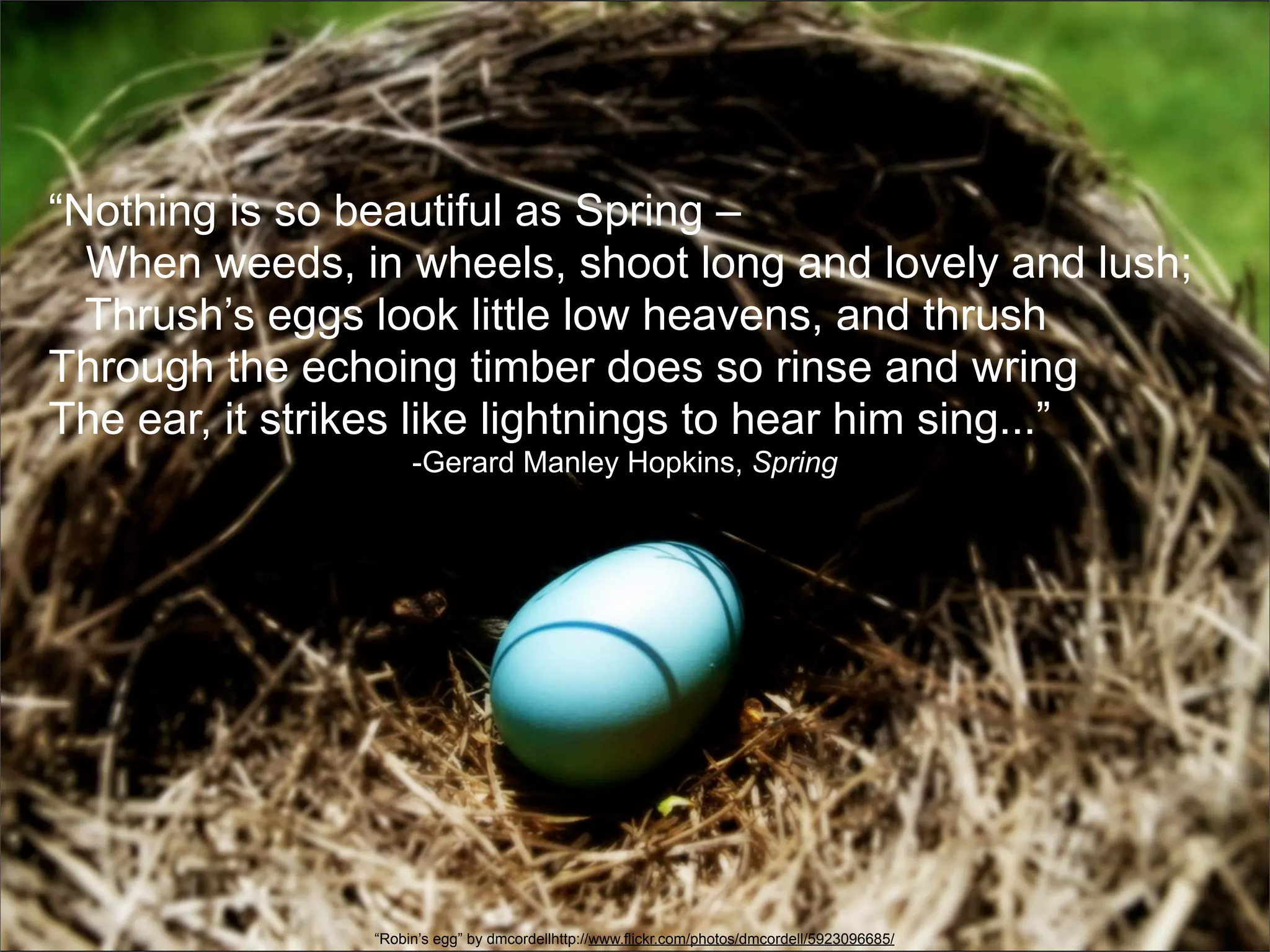 “Nothing is so beautiful as Spring –
  When weeds, in wheels, shoot long and lovely and lush;
  Thrush’s eggs look little low heavens, and thrush
Through the echoing timber does so rinse and wring
The ear, it strikes like lightnings to hear him sing...”
                    -Gerard Manley Hopkins, Spring




               “Robin’s egg” by dmcordellhttp://www.flickr.com/photos/dmcordell/5923096685/
 