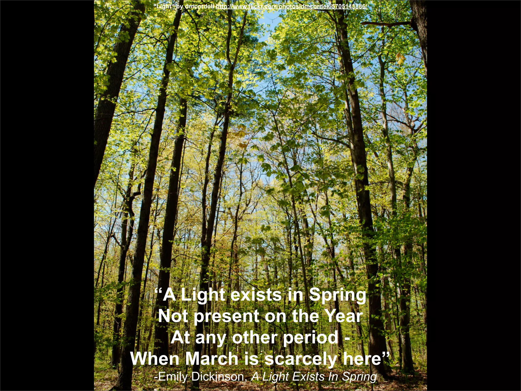 “Light” by dmcordell http://www.flickr.com/photos/dmcordell/5705143886/




  “A Light exists in Spring
  Not present on the Year
    At any other period -
When March is scarcely here”
  -Emily Dickinson, A Light Exists In Spring
 