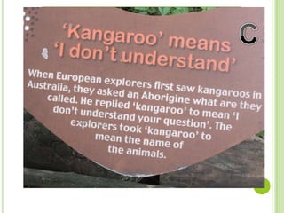 What does ‘Kangaroo’ Mean?
A. Spring B. High
C. I don‟t
understand
 