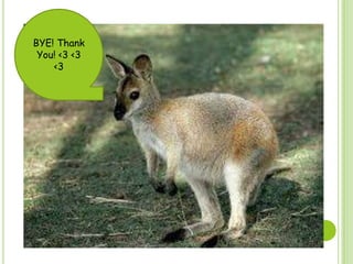 BYE! Thank
You! <3 <3
<3
 