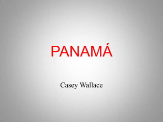PANAMÁ

Casey Wallace
 