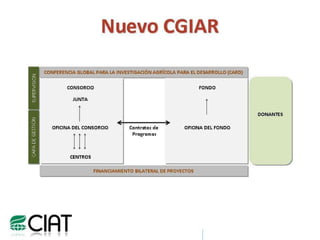 Hacia una Plataforma para Fortalecer Capacidades de Investigación y Desarrollo Agrícola en América Latina y el Caribe