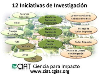 Hacia una Plataforma para Fortalecer Capacidades de Investigación y Desarrollo Agrícola en América Latina y el Caribe